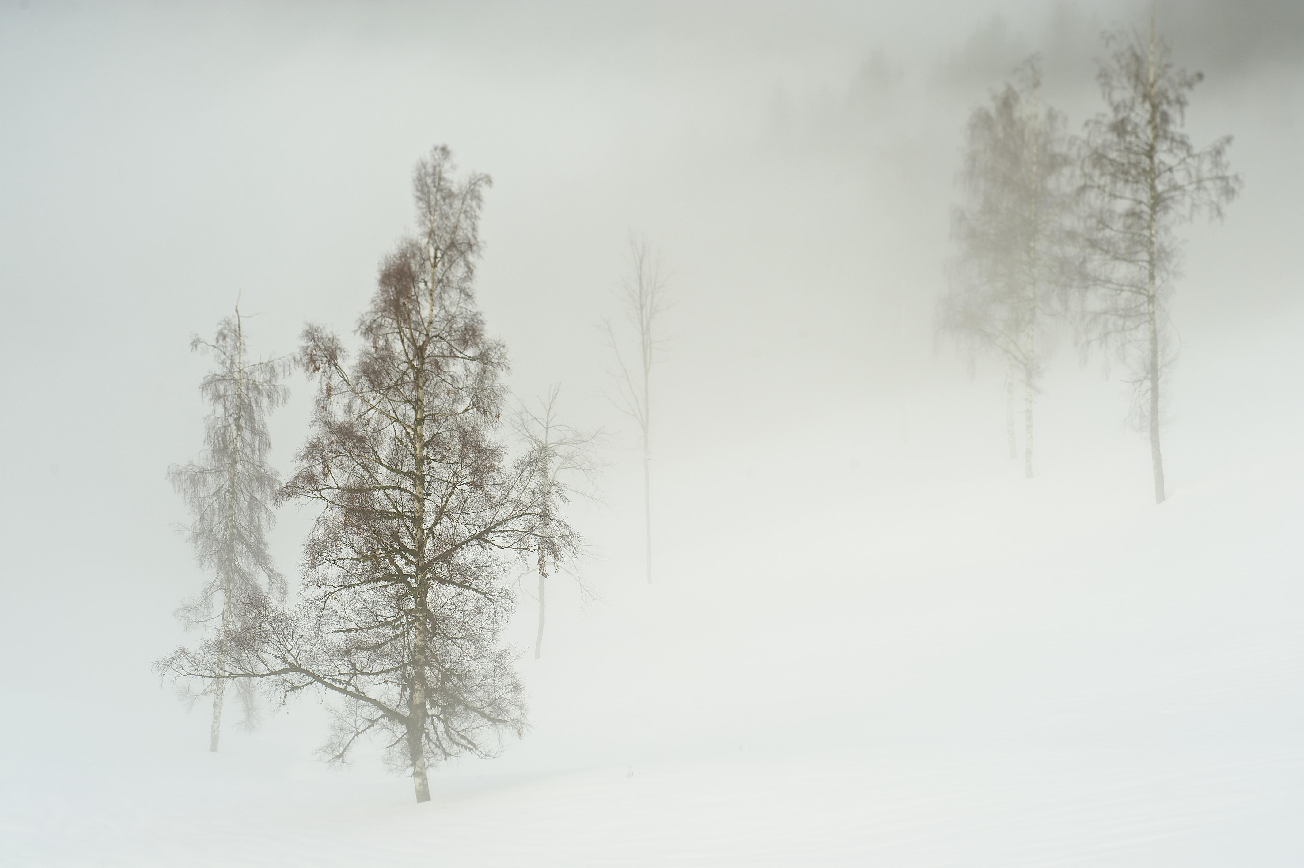 4256x2832 Winter 4k Ultra HD Wallpaper