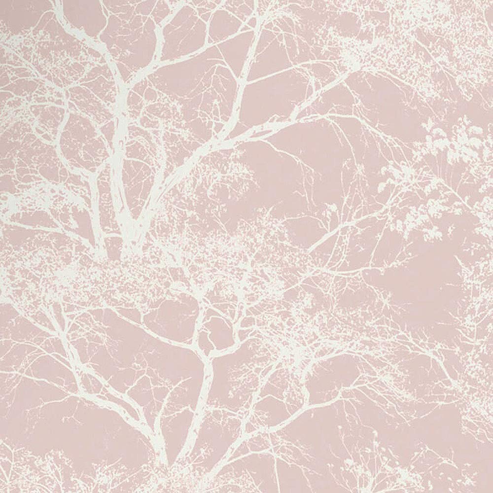 1000x1000 Holden Decor Statement Wallpaper Whispering Trees Dusky Pink 65400 Full Roll : Amazon.co.uk: DIY & Tools