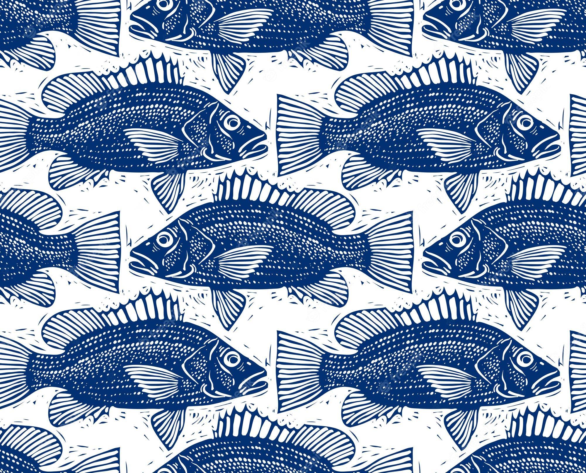 Zoology Wallpapers - Top Free Zoology Backgrounds - WallpaperAccess