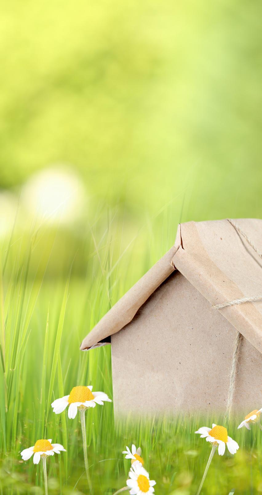 852x1608 Small house gift and spring flowers