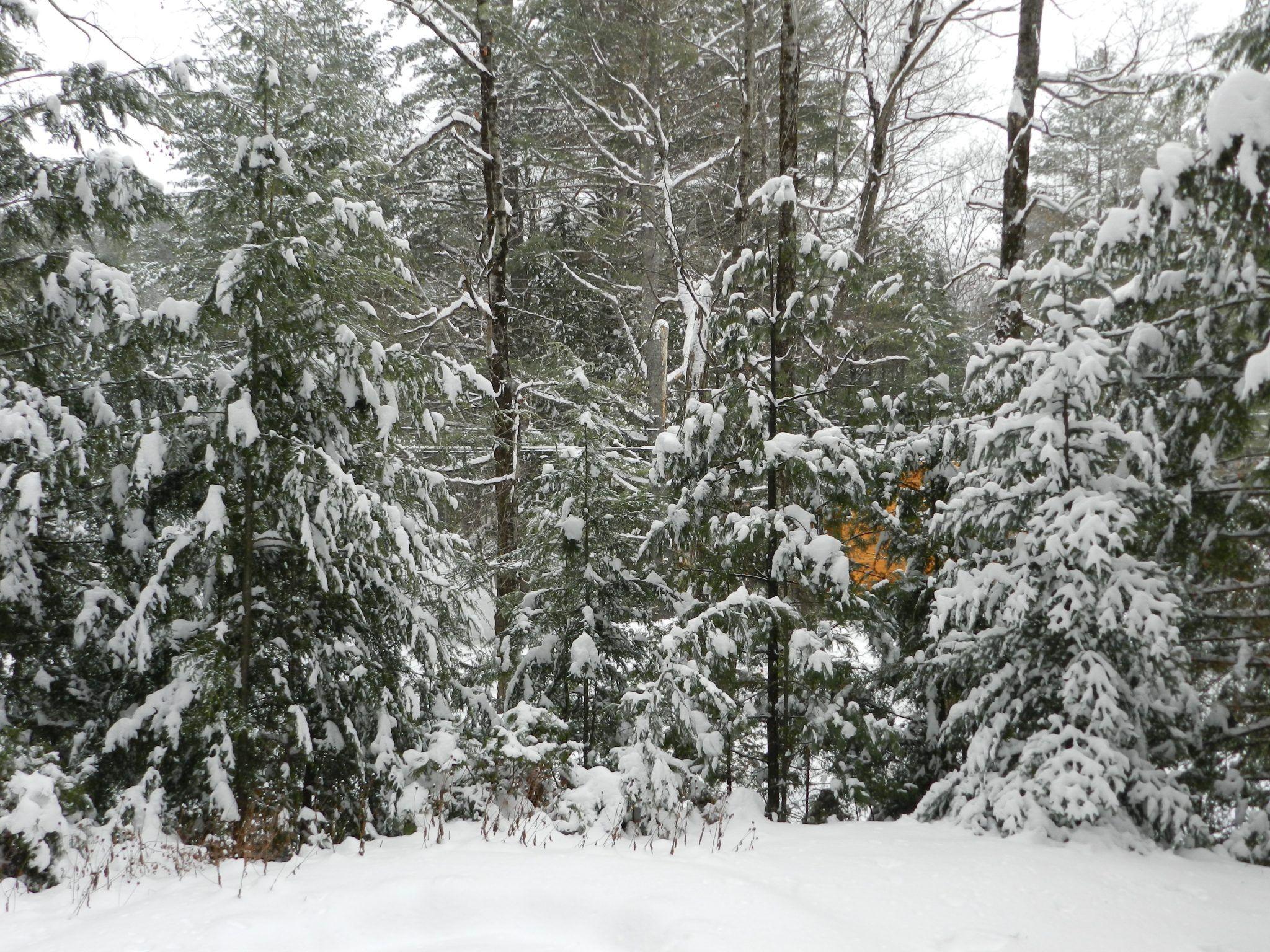 2048x1536 DEC Advisory: Winter Conditions In The Adirondacks