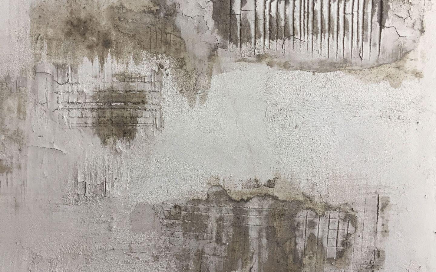 1440x900 Wabi Sabi Wallpaper