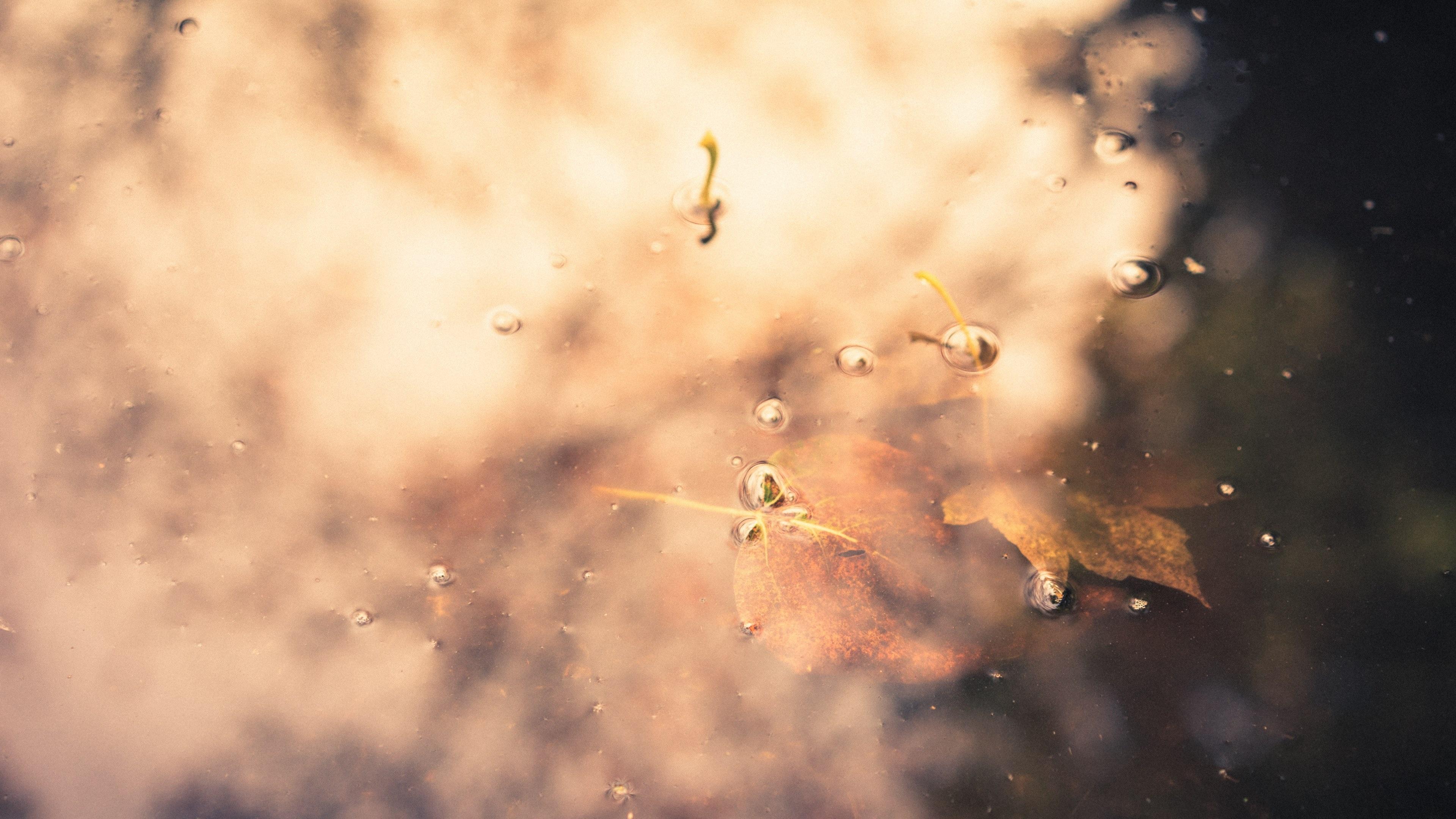 3840x2160 Wallpaper / wabi sabi decay light and yellow HD 4k wallpaper free download