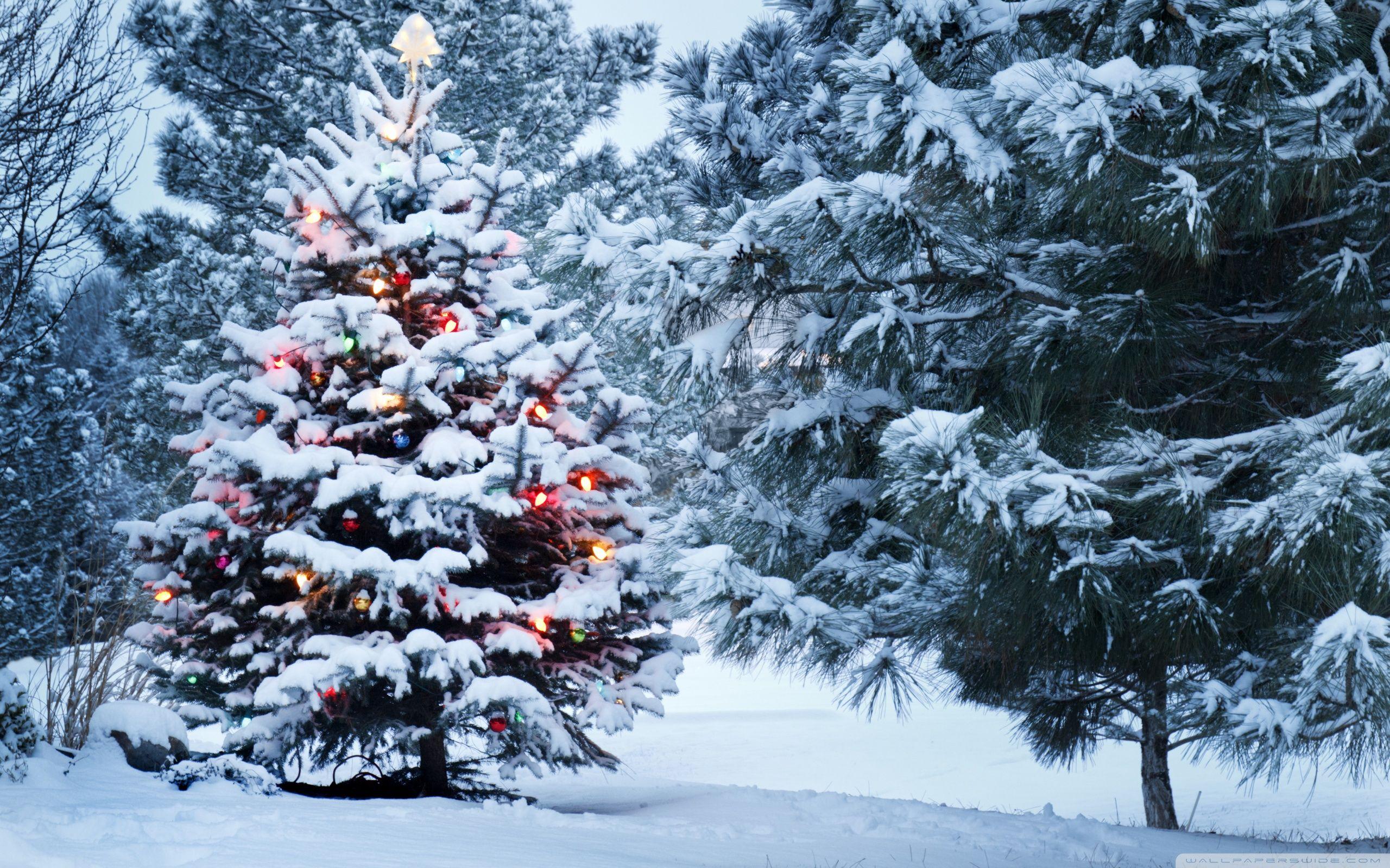 2560x1600 christmas wallpaper titled christmas scenes. best 20 christmas