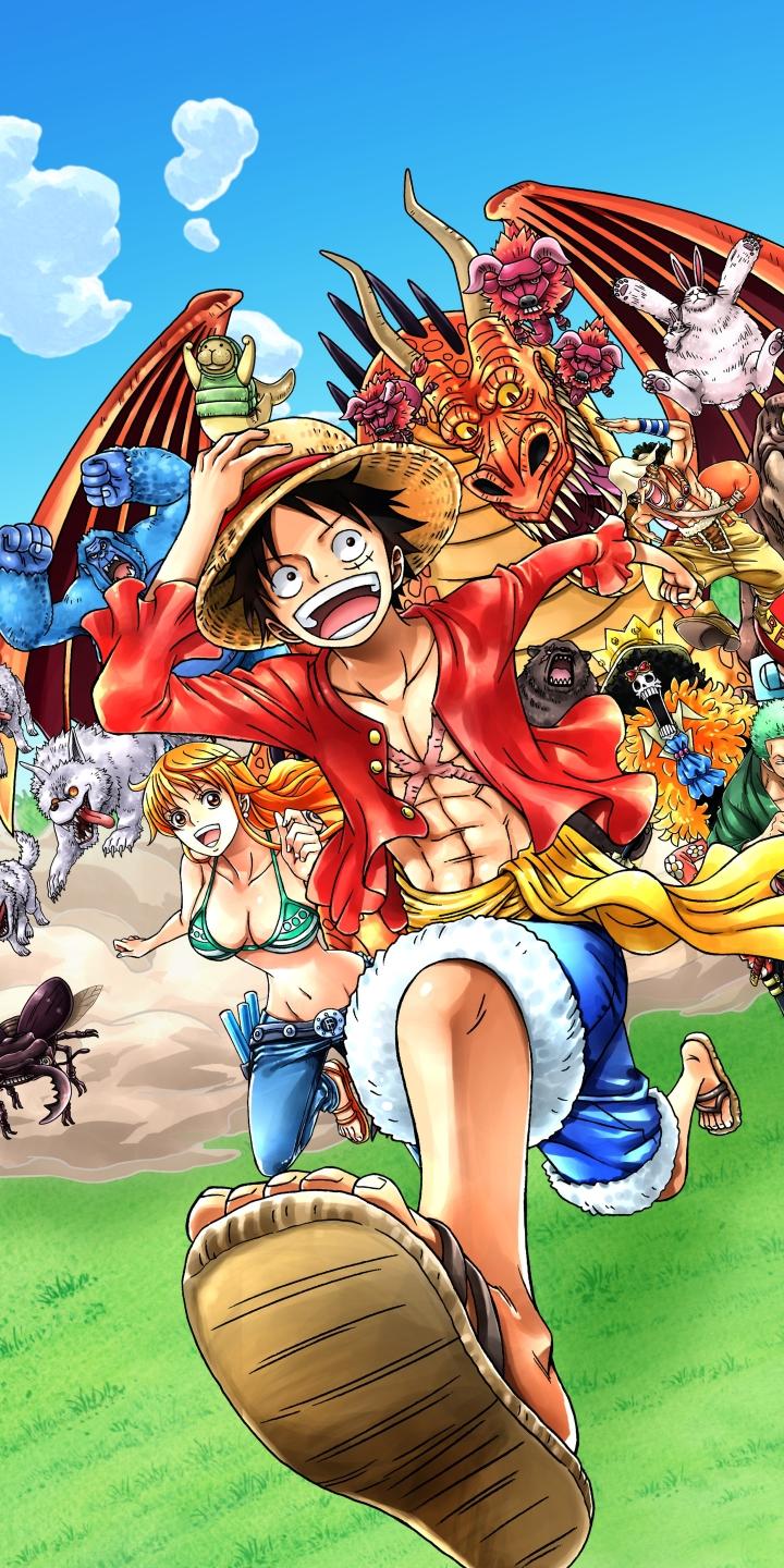 720x1440 Download Monkey D Luffy wallpaper for mobile phone, free Monkey D Luffy HD picture