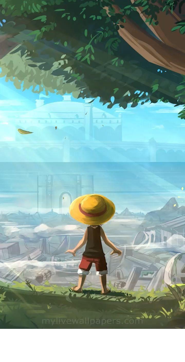 720x1409 Monkey D. Luffy. One Piece. Live Wallpaper [Vidéo]. Fond d'ecran dessin, Illustrations animées, Fond d'écran téléphone manga
