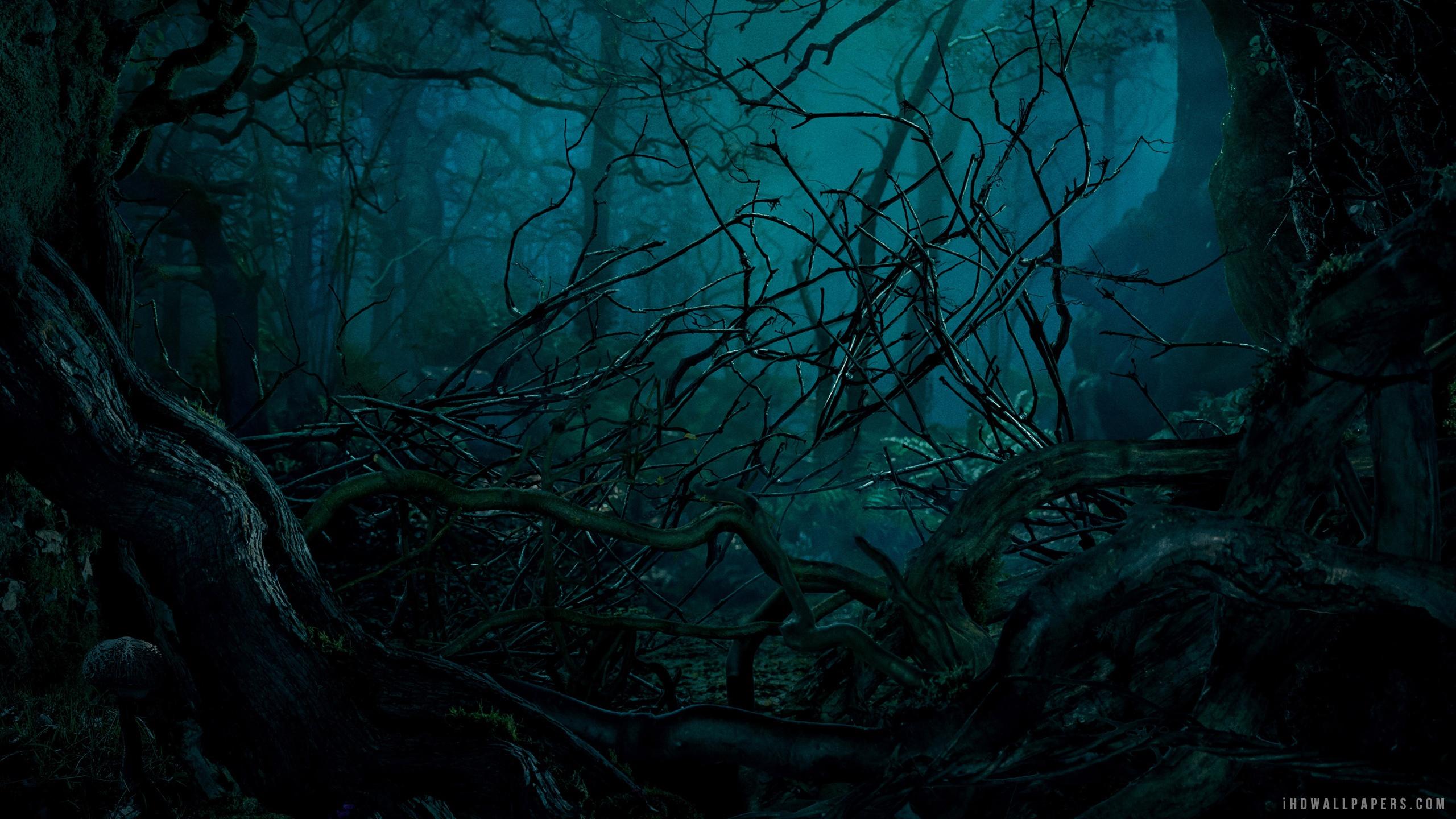 2560x1440 Free download Into The Woods Movie HD Wallpaper iHD Wallpaper [2560x1440] for your Desktop, Mobile & Tablet. Explore Into The Woods Wallpaper. Woods Wallpaper, Woods Background, Woods Background