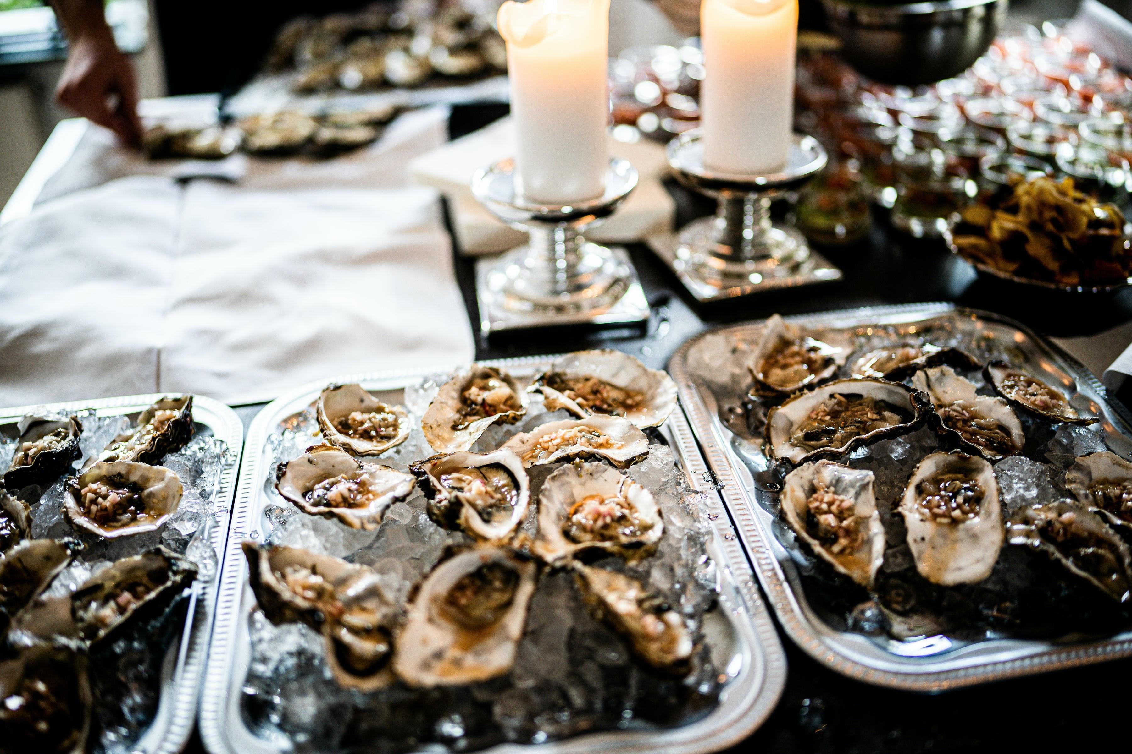 3600x2400 Oysters Photo, Download The BEST Free Oysters & HD Image