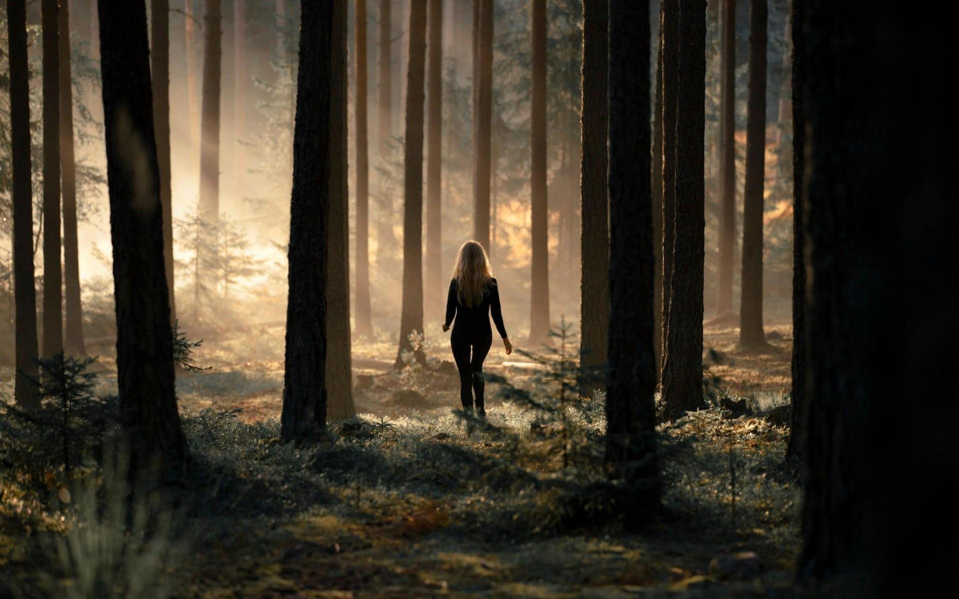 1920x1200 Free download forest HD Wallpaper 1920x1080 Walking alone in the forest HD Wallpaper [1920x1200] for your Desktop, Mobile & Tablet. Explore Walk in the Woods Wallpaper. Woods Wallpaper, Woods