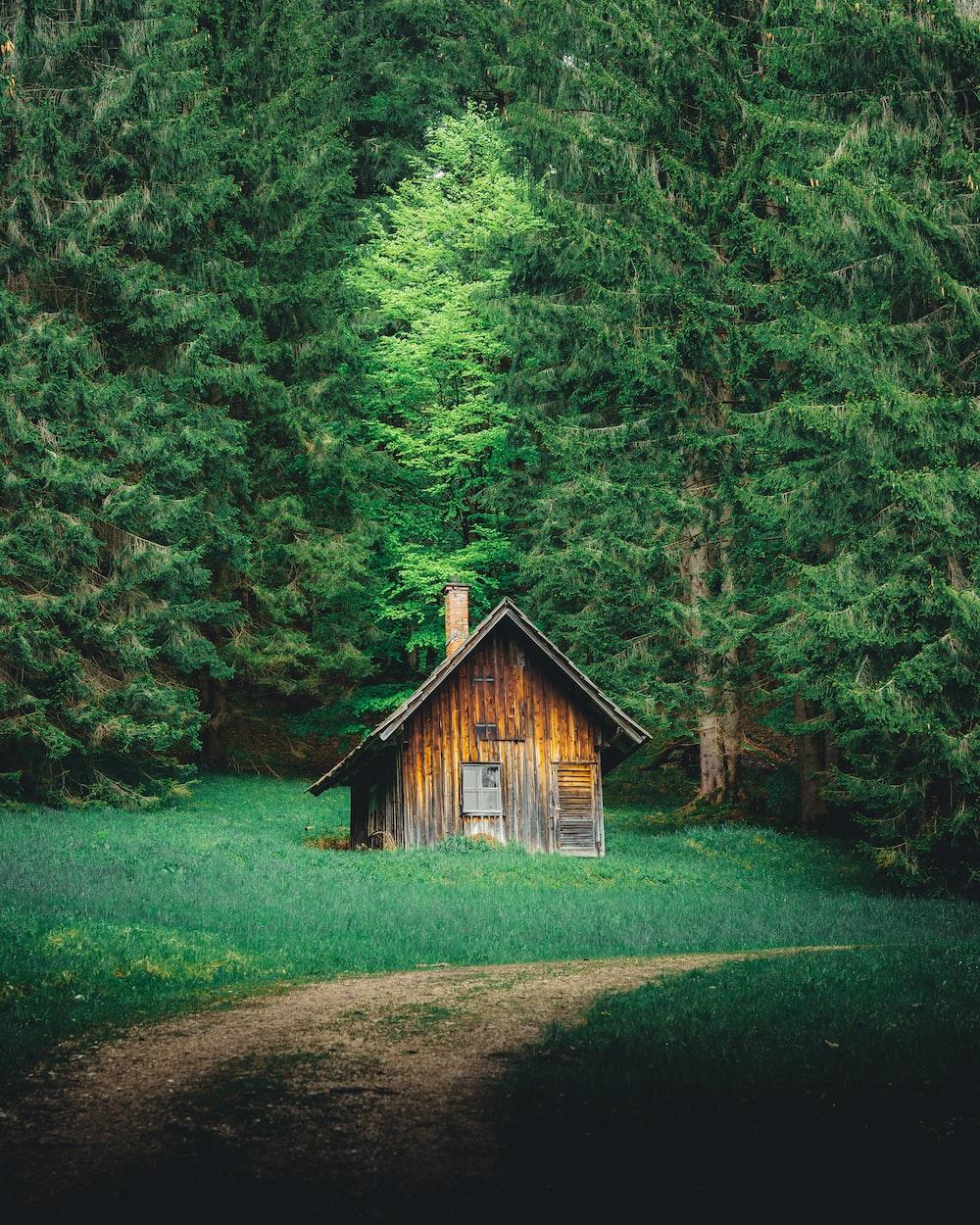 1000x1250 House In The Woods Picture. Download Free Image