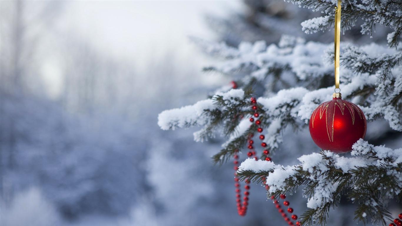 1366x768 Christmas in the woods wallpaper