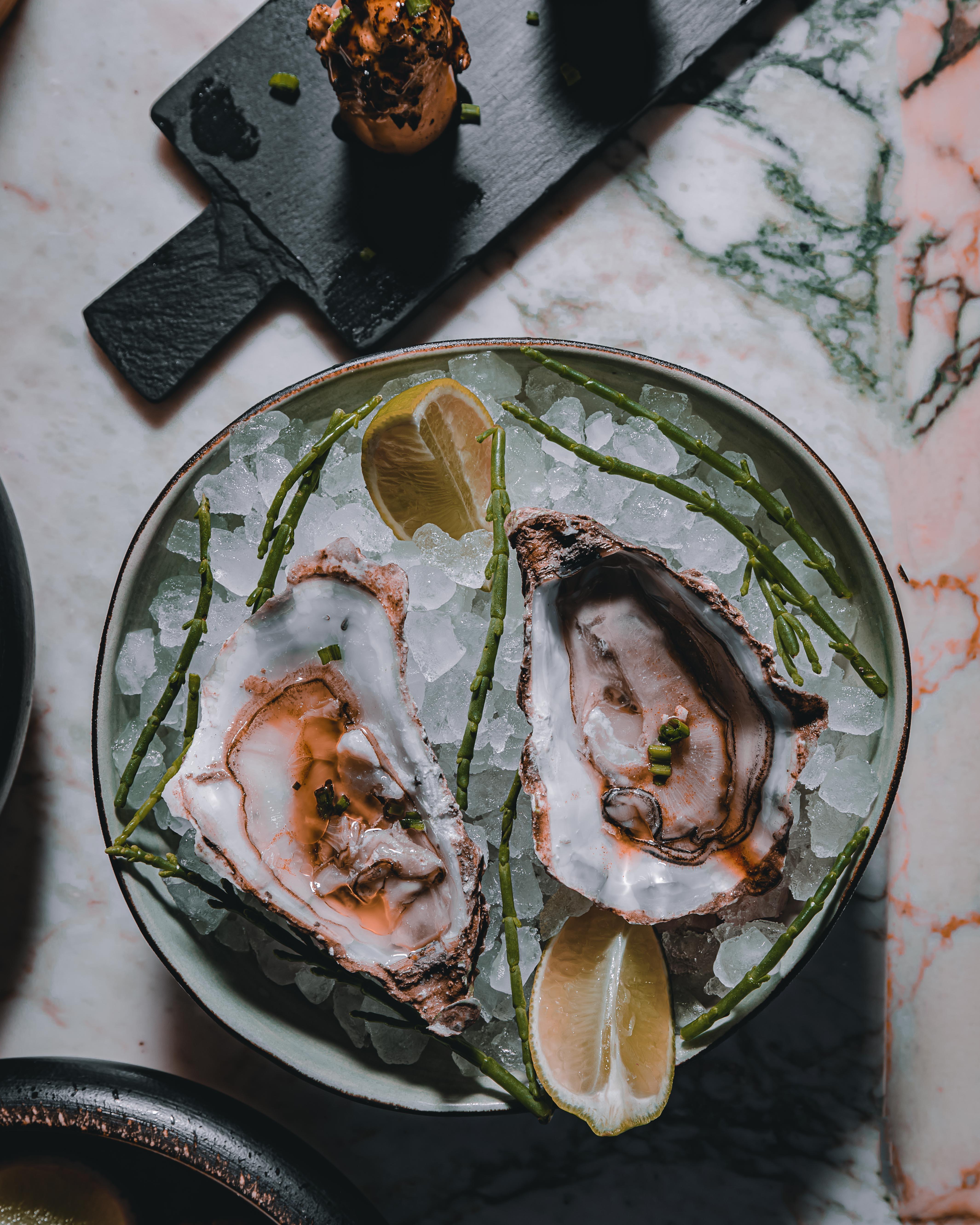 Oysters Wallpapers - Top Free Oysters Backgrounds - WallpaperAccess