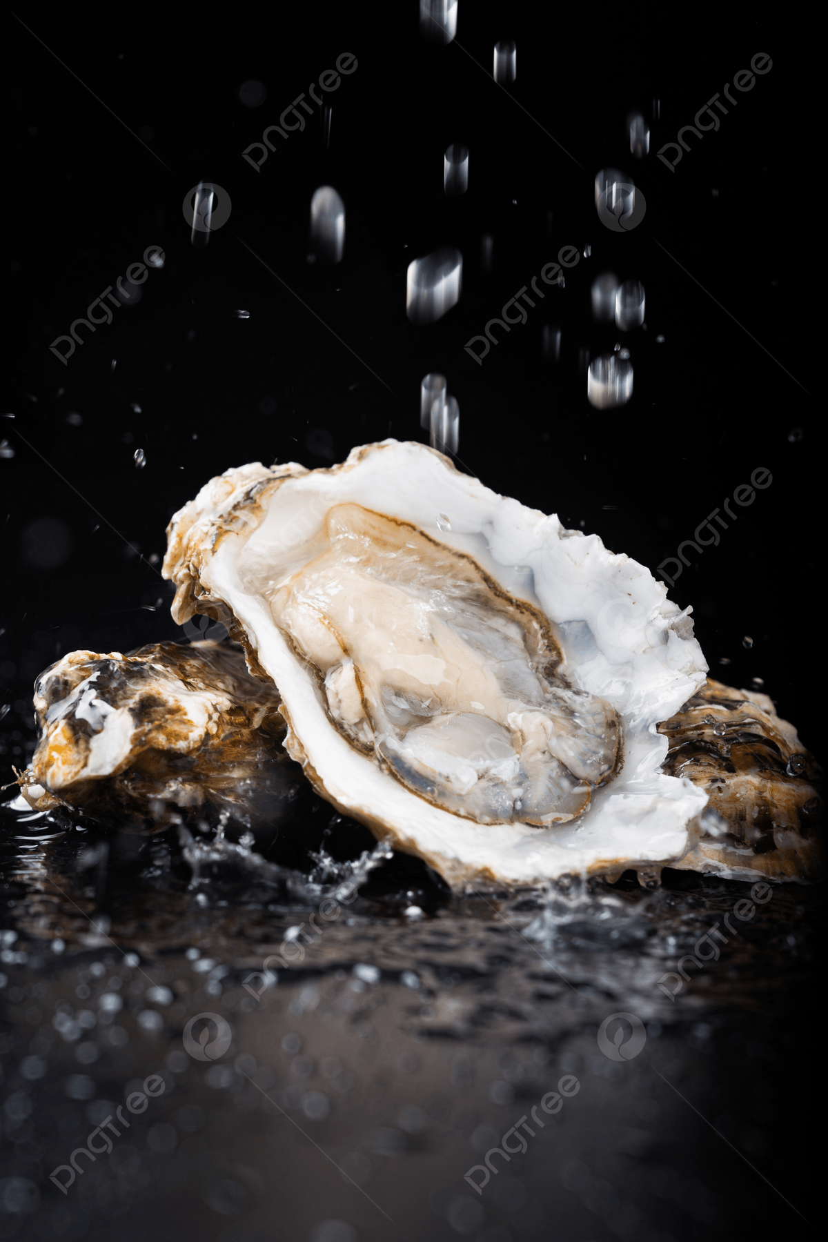 Oysters Wallpapers - Top Free Oysters Backgrounds - WallpaperAccess