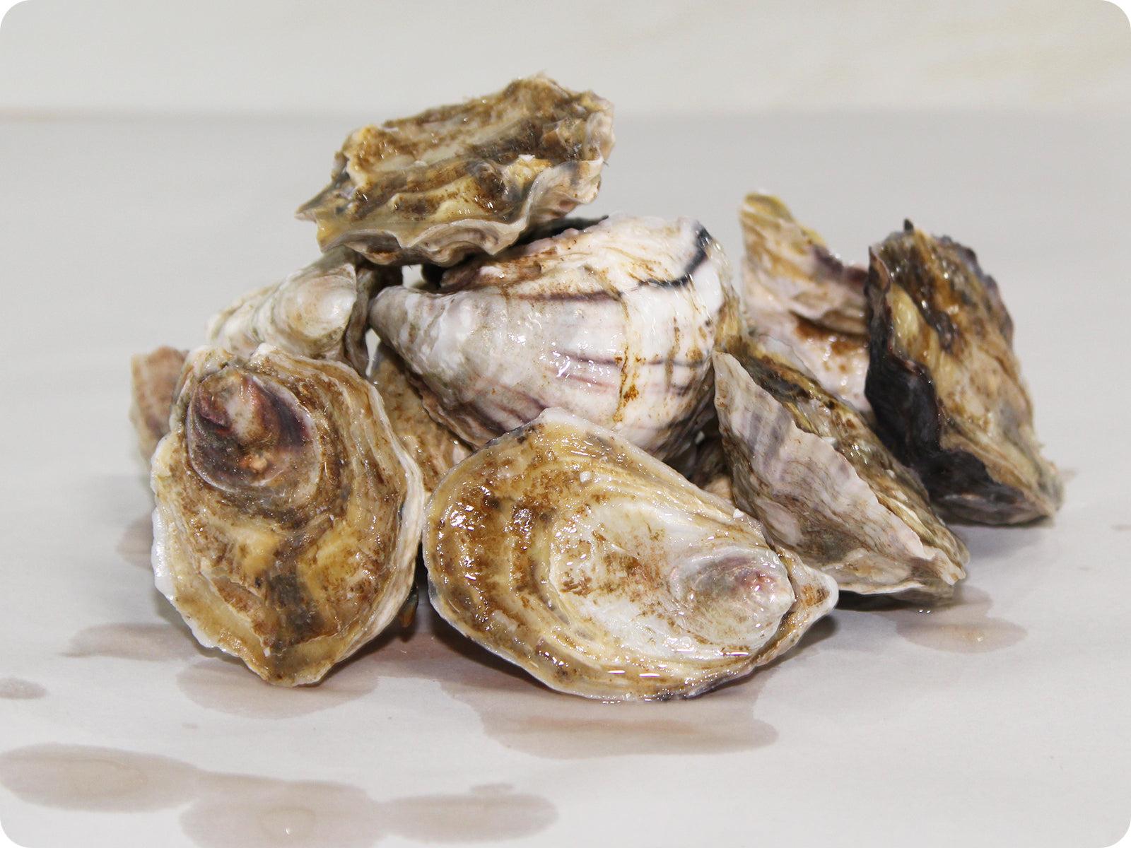 1600x1200 Oishi Oysters