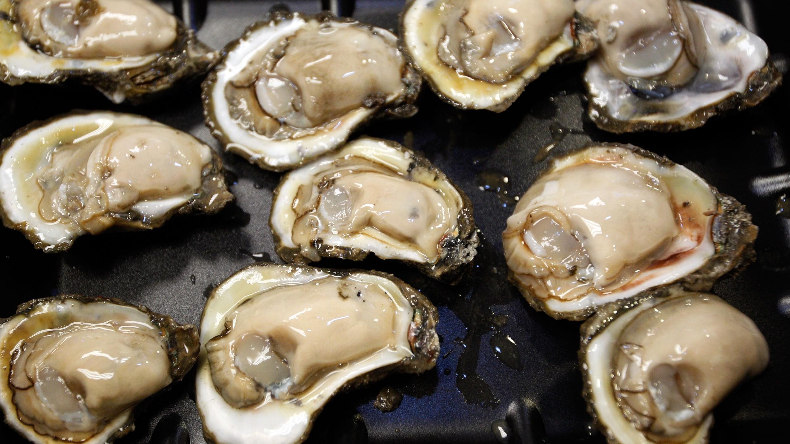 2560x1440 Dozens Report Illness Causing Multi State Oyster Recall