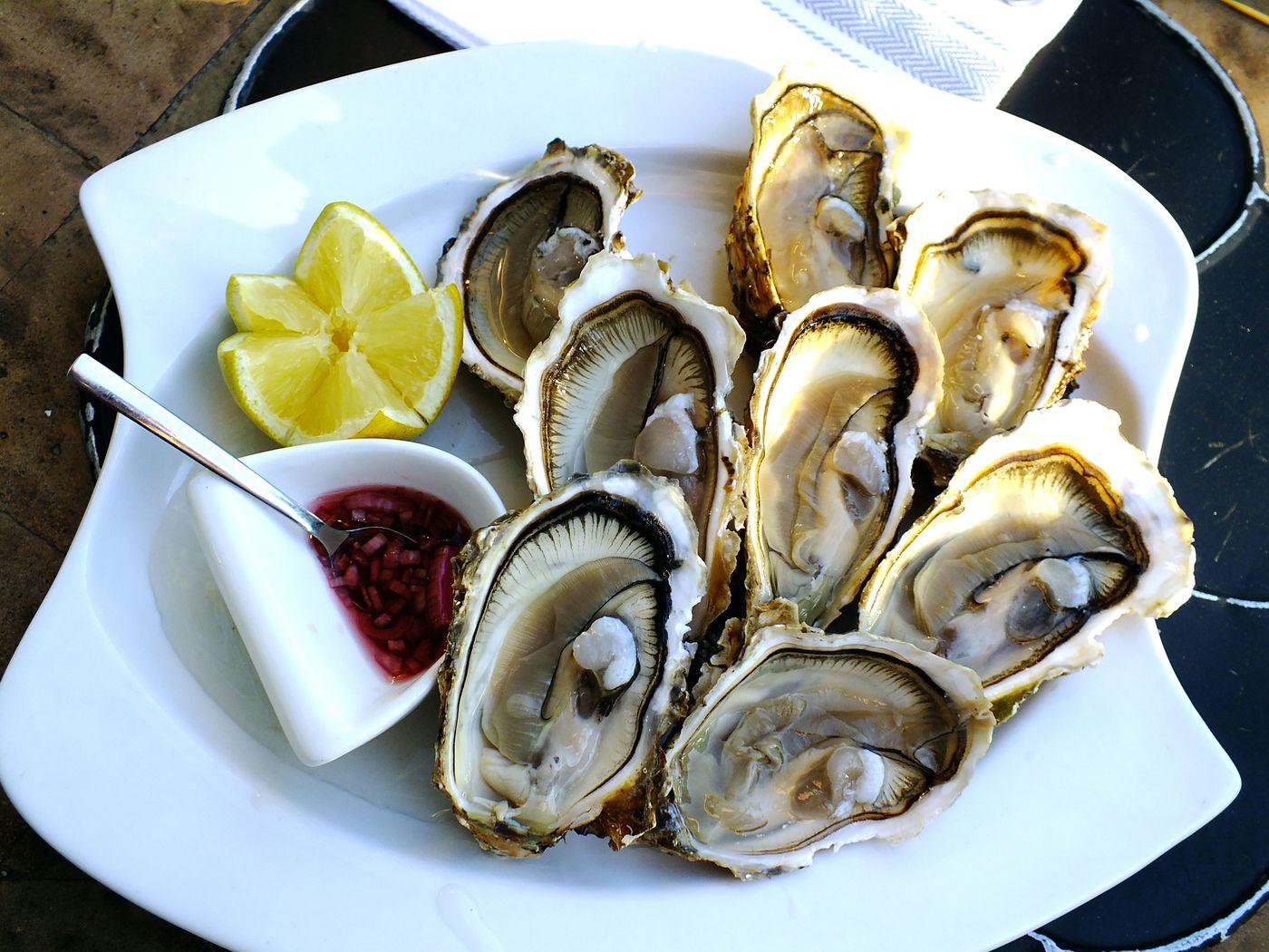 1400x1050 After Washington Vibrio Scare, Is It Safe to Eat Oregon Oysters?