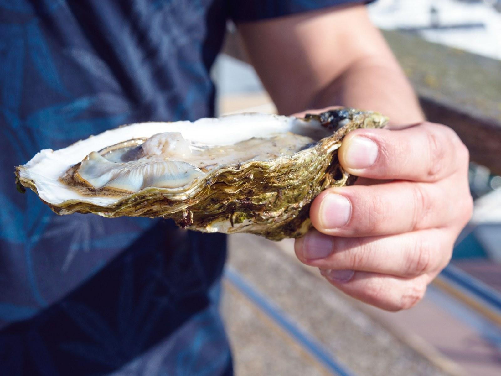 1600x1200 Dad Loses Part of His Intestines to 'Rare' Infection After Eating Oysters