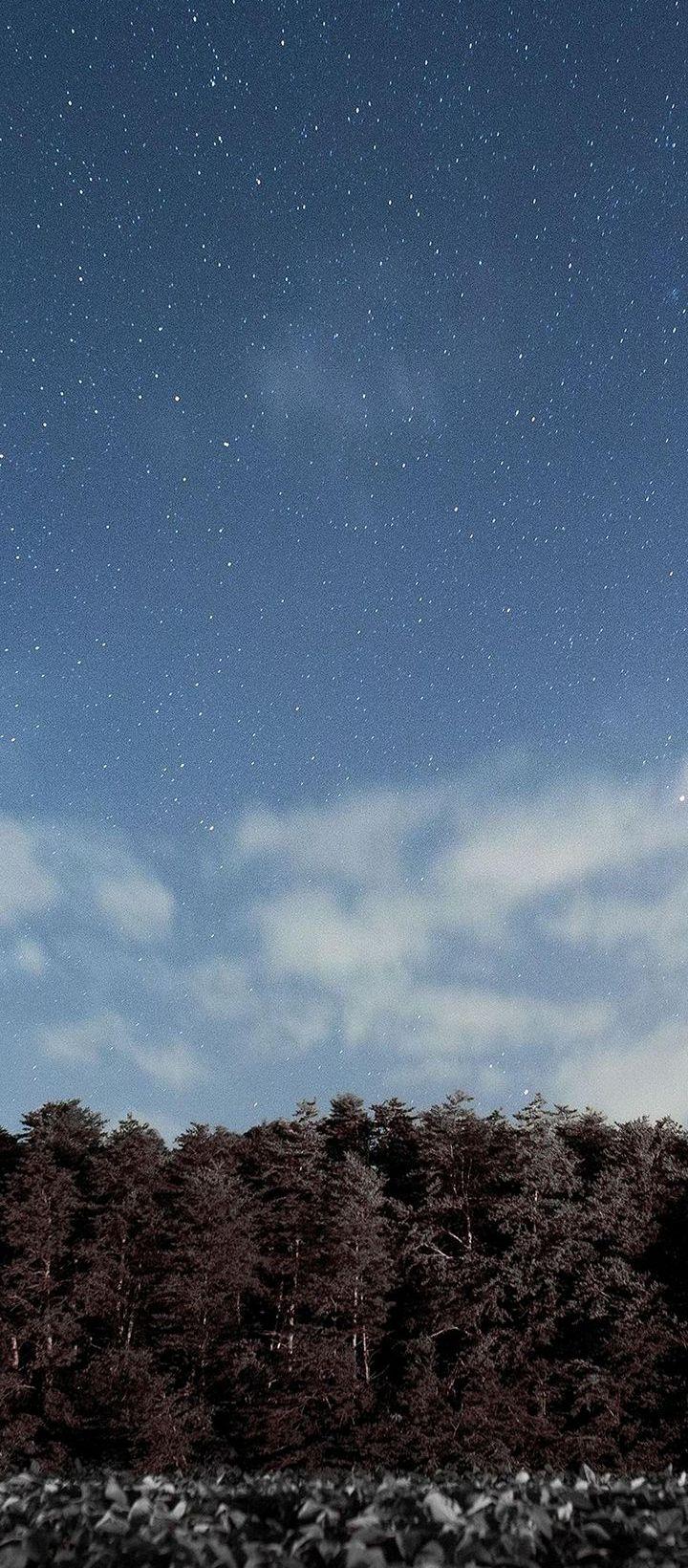 720x1640 Phone Wallpaper
