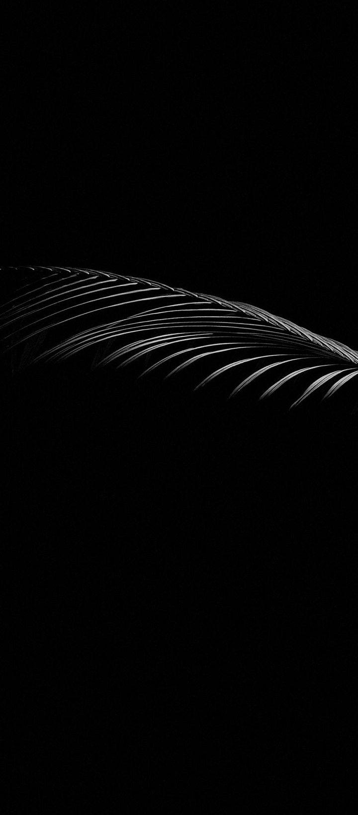 720x1640 Phone Wallpaper