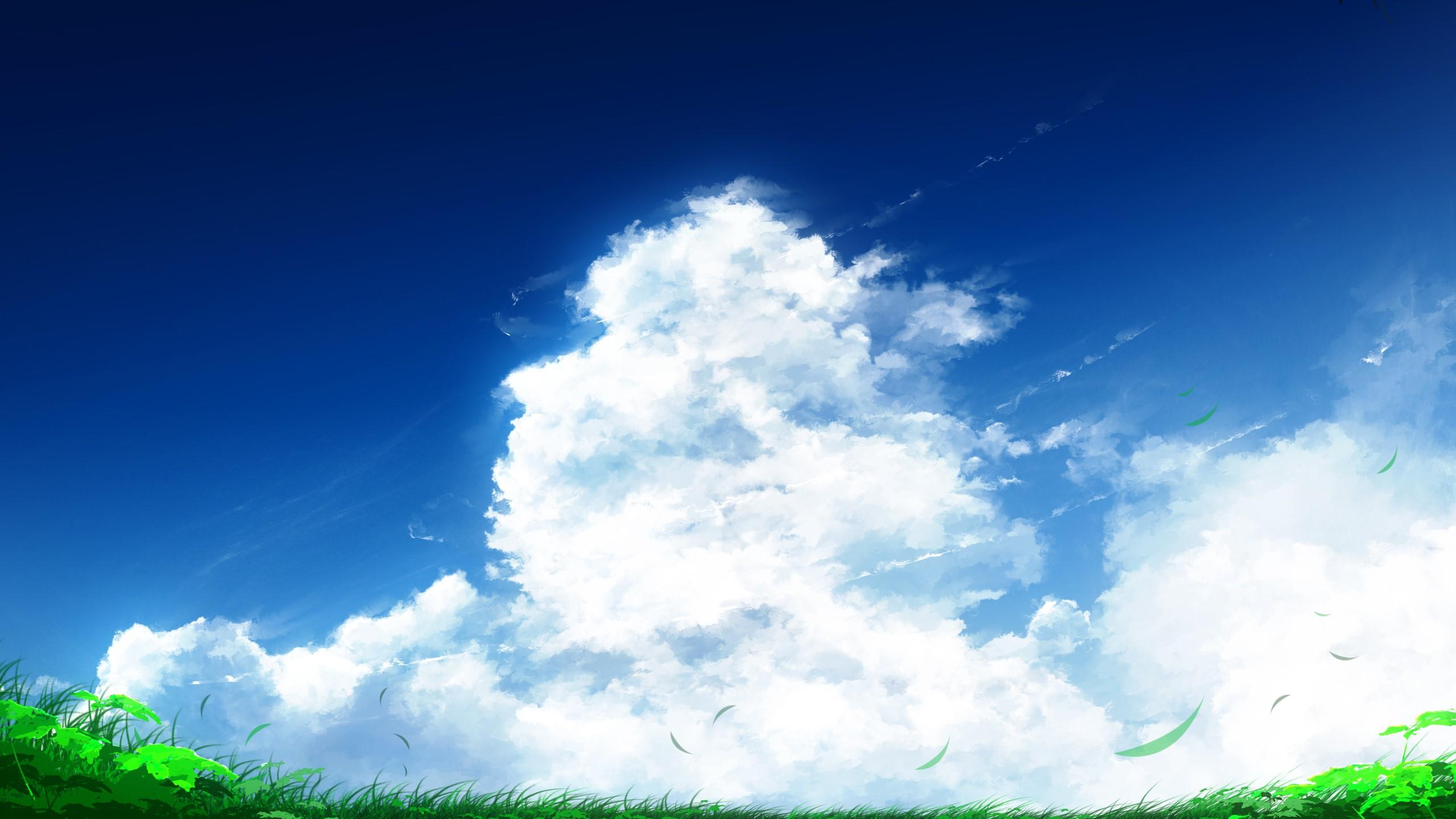 2560x1440 Wallpaper / clouds, sky, grass, artwork, painting, anime, plants, white, blue free download