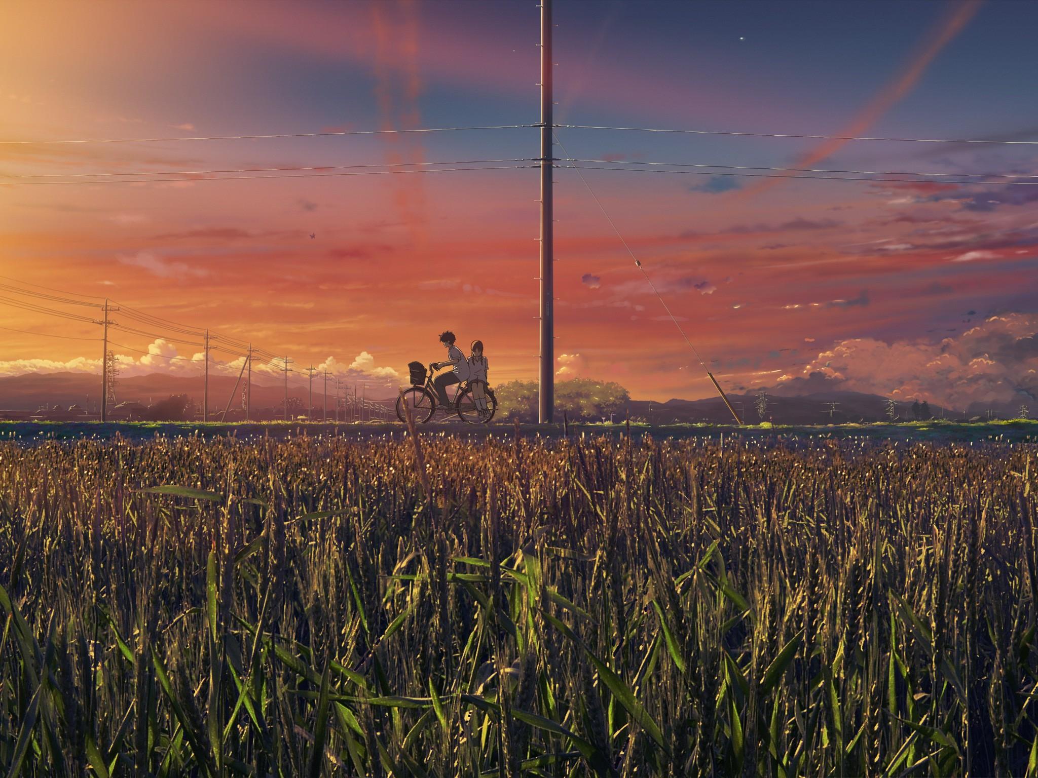 2048x1536 anime, grass, landscape, sky, field, sunset, bicycle Gallery HD Wallpaper