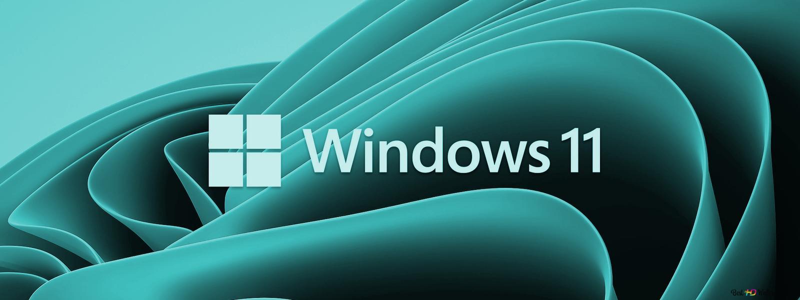 Windows 11 Logo Wallpapers - Top Free Windows 11 Logo Backgrounds ...