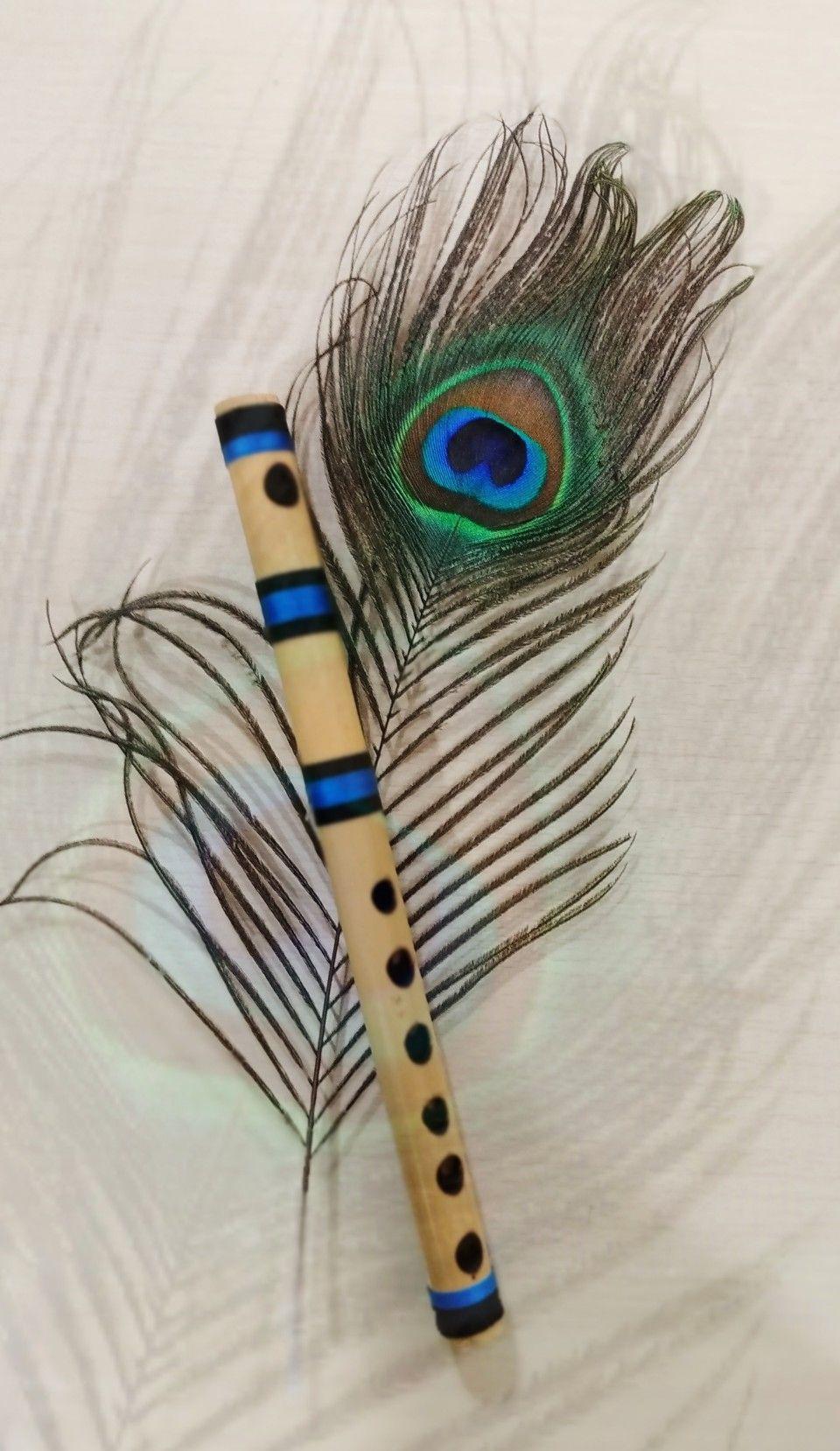 960x1658 Small bamboo flute with peacock feather. Peacock feather art, Feather drawing, Feather art