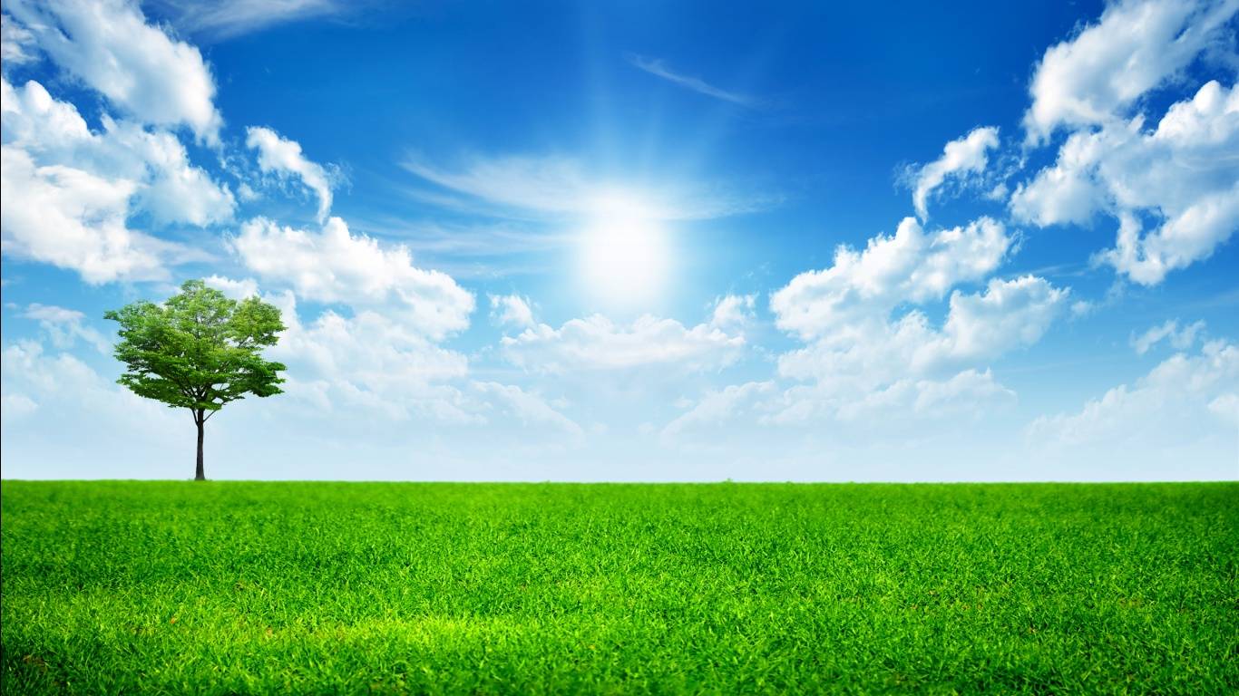 1366x768 Beautiful Day Wallpaper