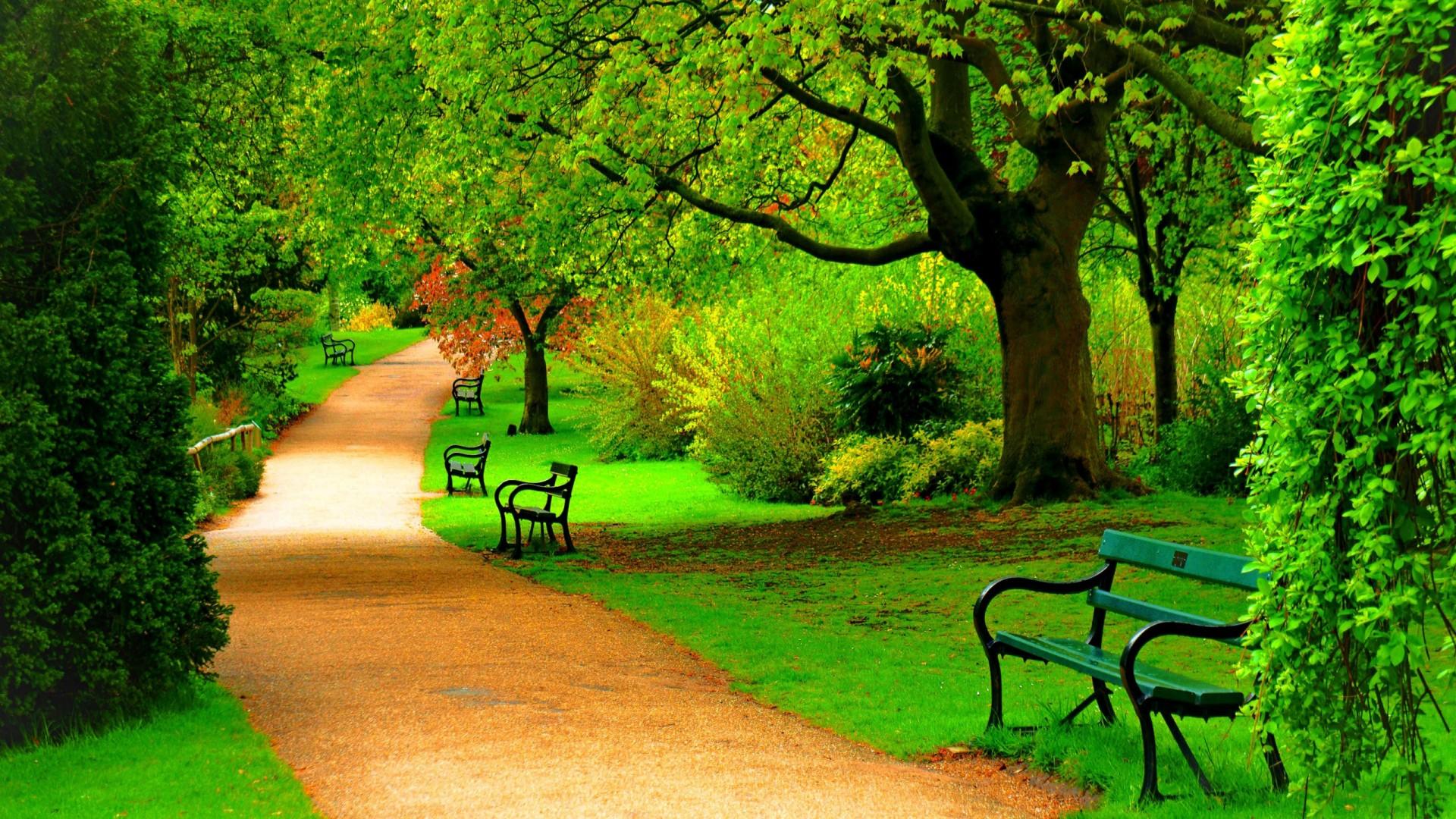 1920x1080 Green Park Trees Nature Beautiful Day HD Wallpaper