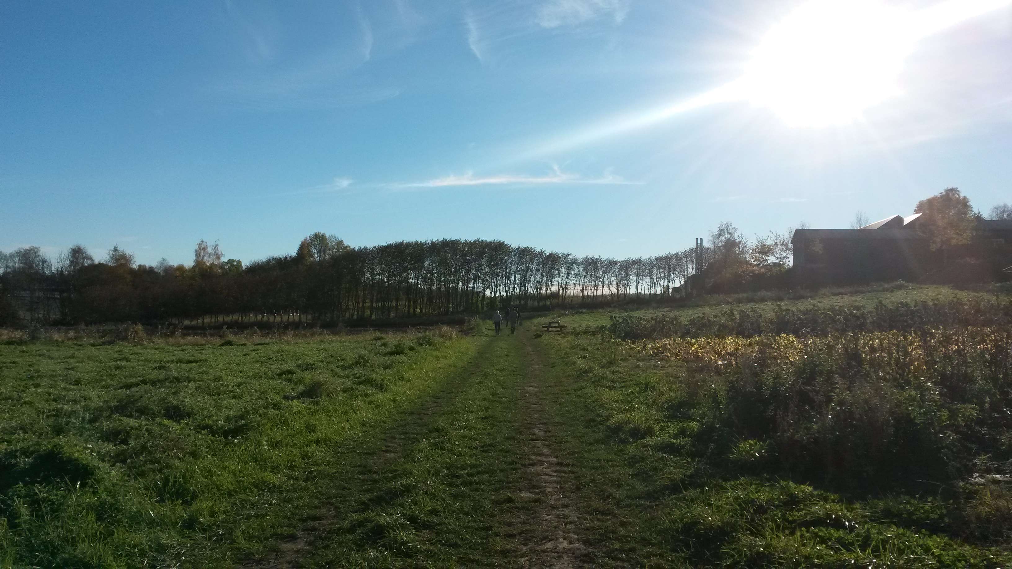 3264x1836 beautiful day, field, landscape, ray of sunshine, sunny, sunny day wallpaper