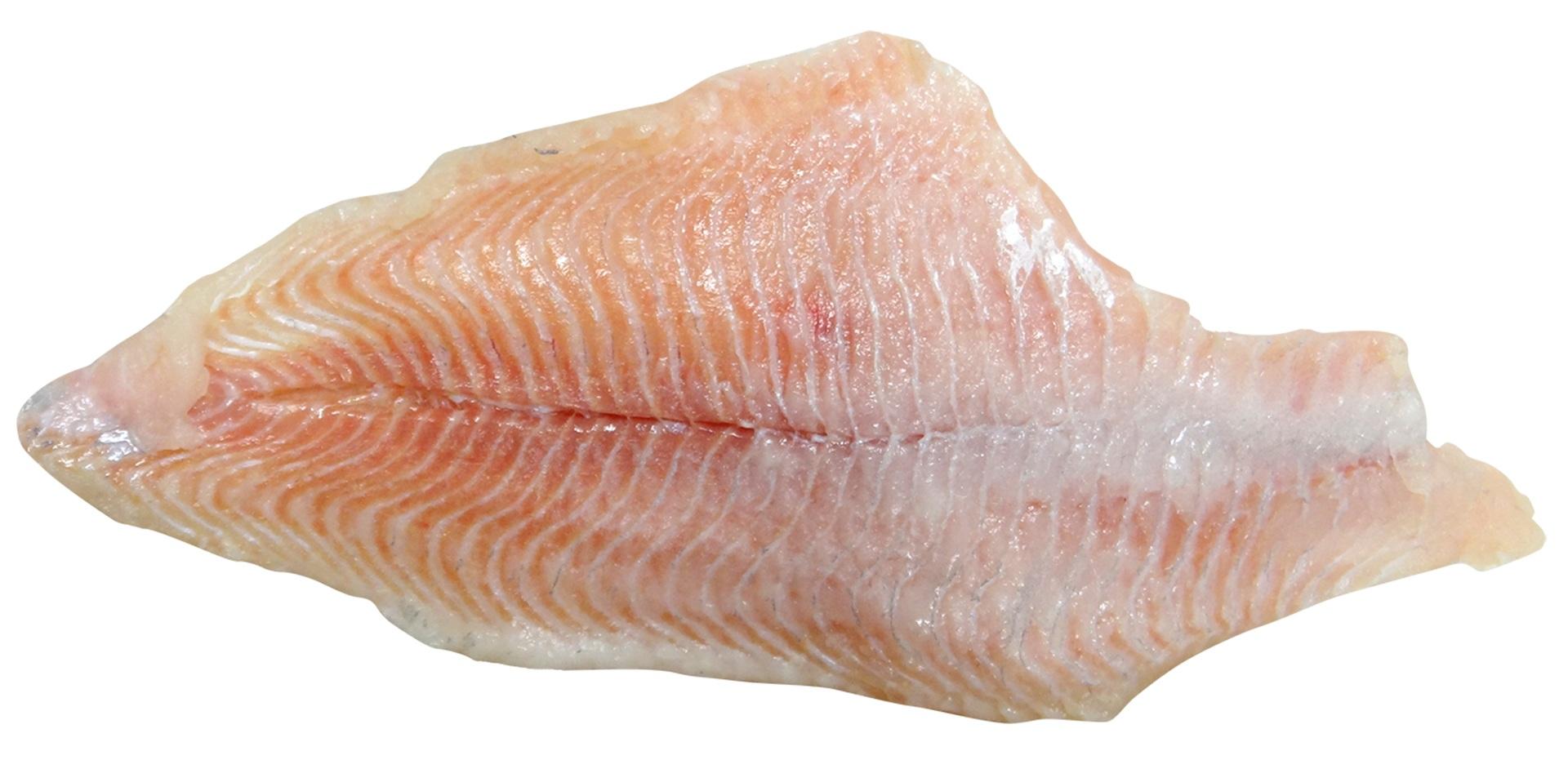 Fish Fillet Wallpapers - Top Free Fish Fillet Backgrounds - WallpaperAccess
