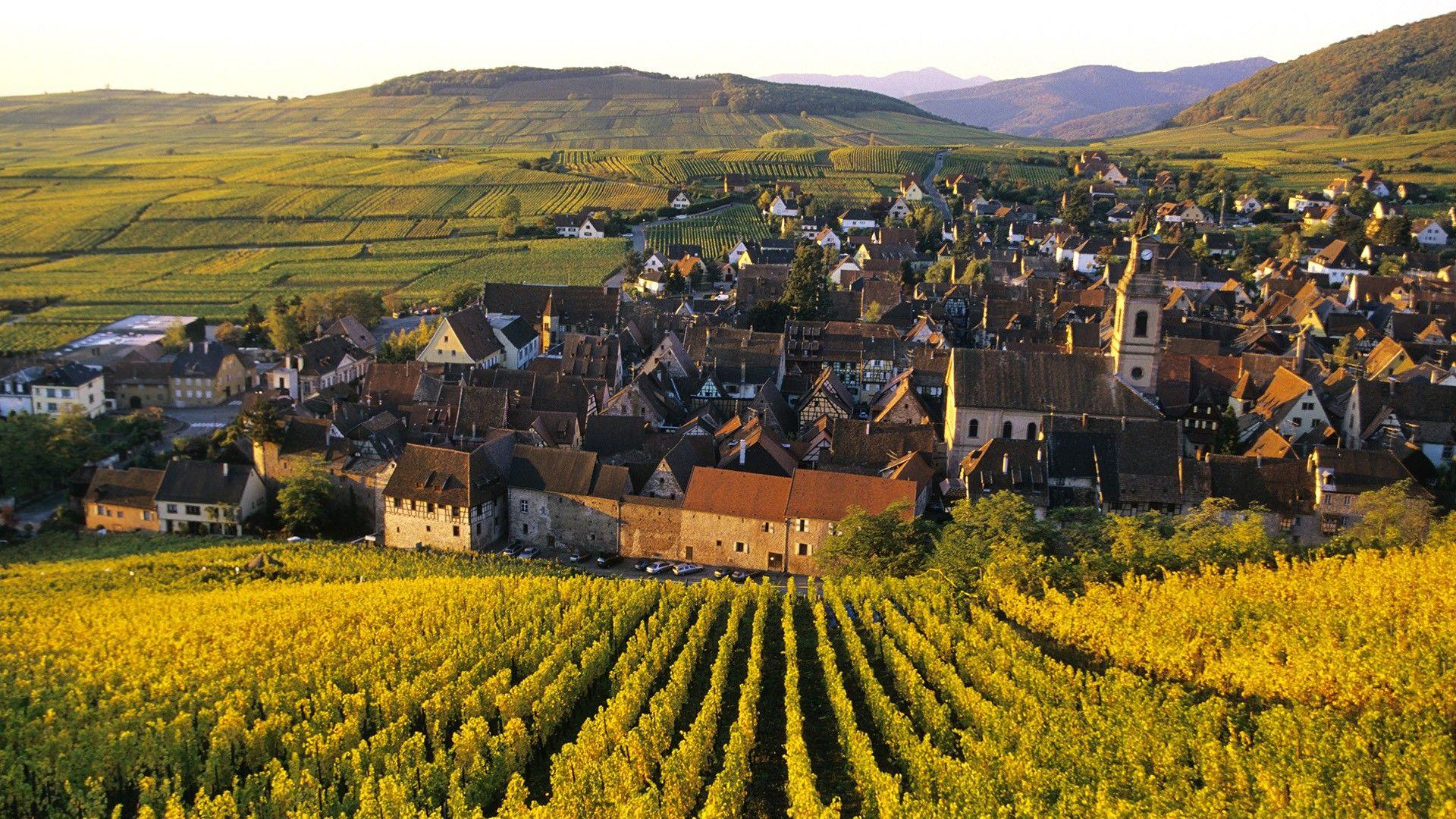 1920x1080 Free download City of vineyards in Alsace France wallpaper and image [1600x1200] for your Desktop, Mobile & Tablet. Explore Alsace Wallpaper. Racing Club De Strasbourg Alsace Wallpaper