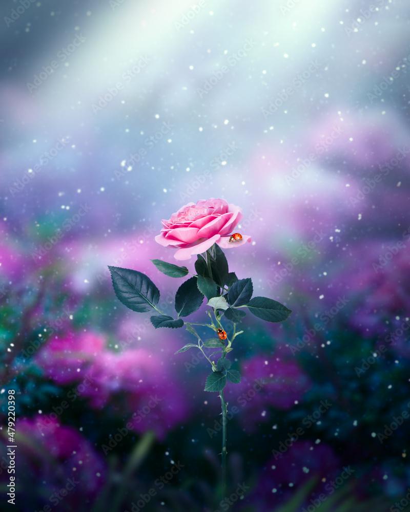 800x1000 Pink Rose Flower and two ladybugs in Fantasy garden in fairy tale elf Forest, magical scene