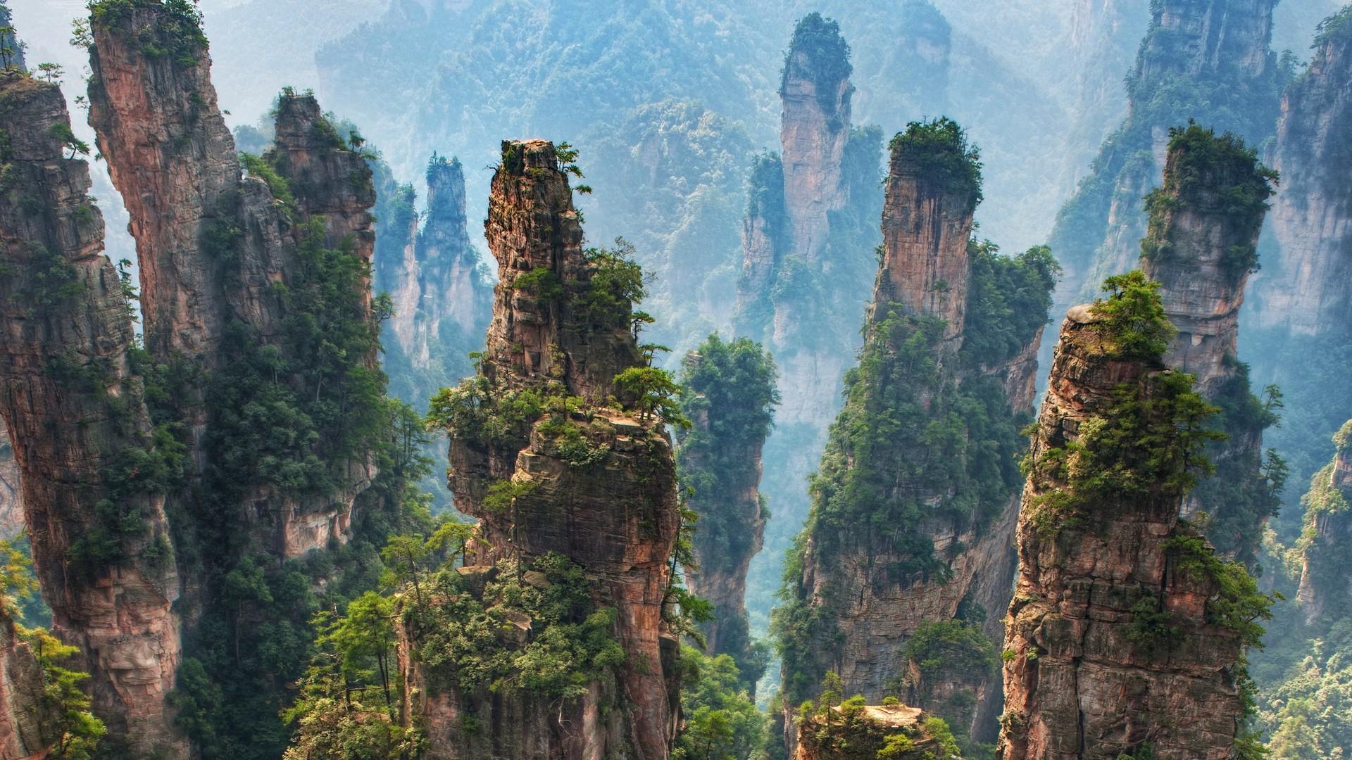 1920x1080 Free download Zhangjiajie National Forest Park China Picture [1920x1080] for your Desktop, Mobile & Tablet. Explore Forest Park Wallpaper. Black Forest Wallpaper, Forest Wallpaper, Forest Background