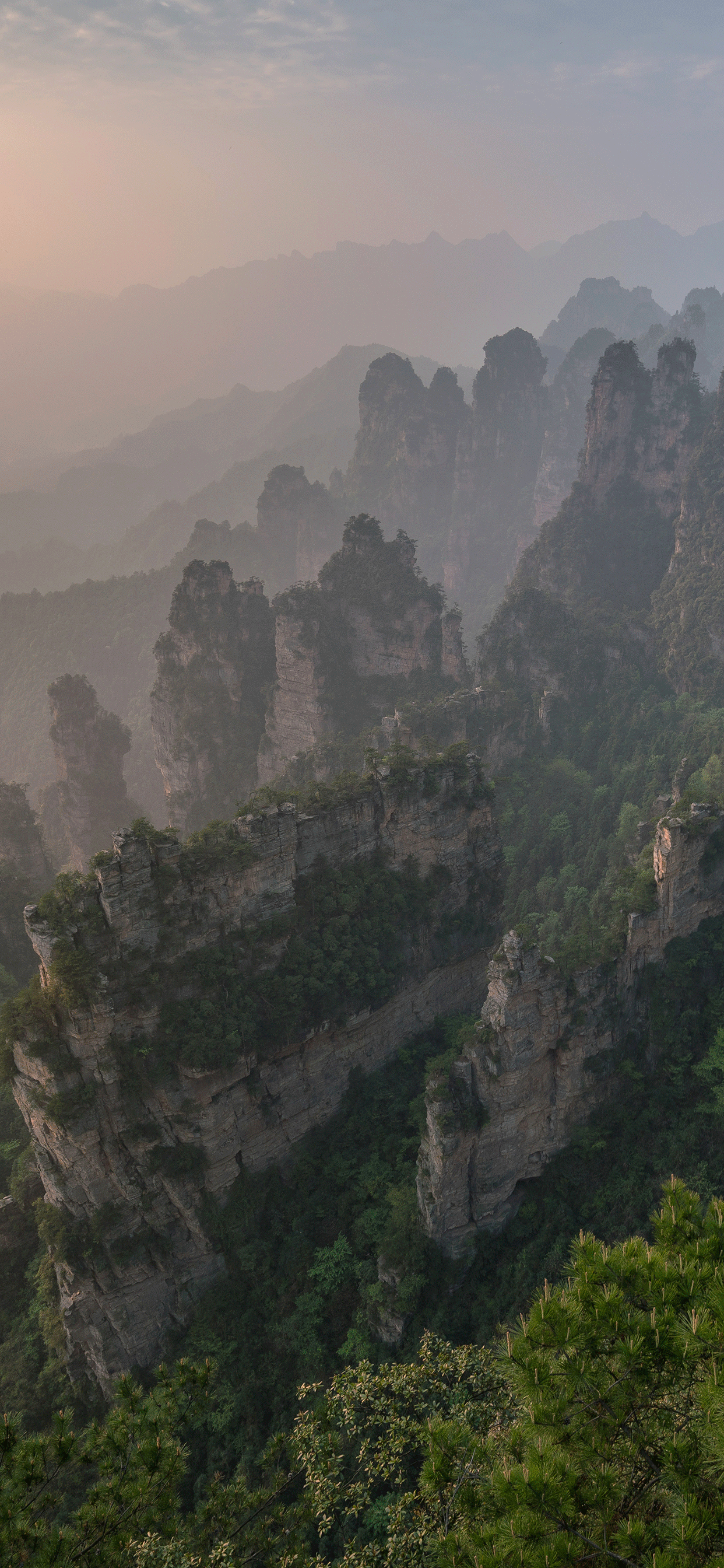 1242x2688 ZhangJiaJie National Park Wallpaper for iPhone Pro Max, X, 6