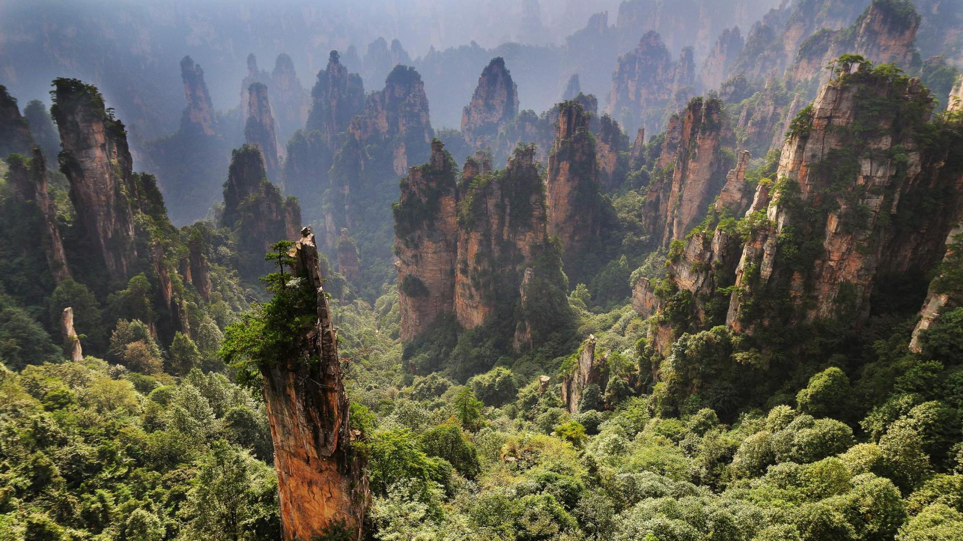1920x1080 Download 1920x1080 Wallpaper Zhangjiajie National Forest Park, Full Hd, Hdtv, Fhd, 1080p, 1920x1080 HD Image, Background, 701