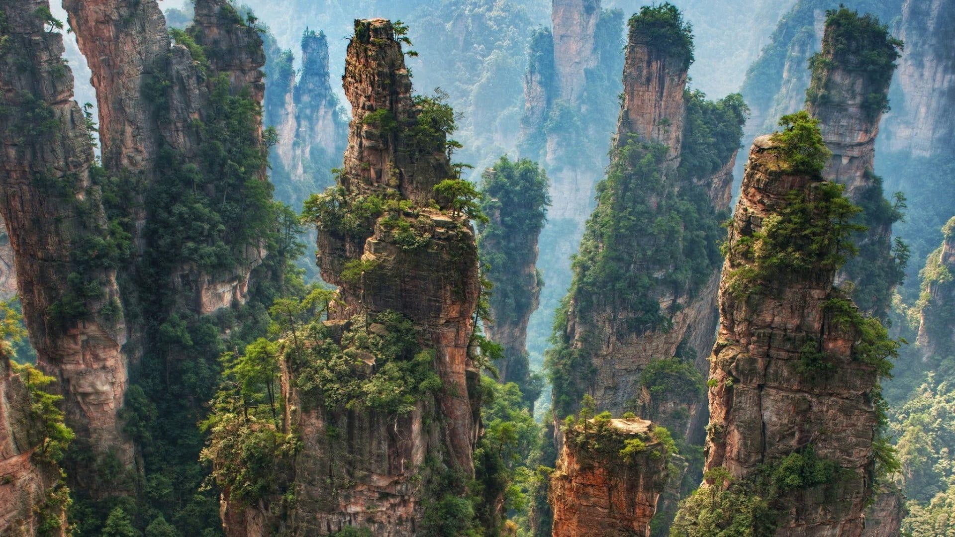 1920x1080 vegetation #nature nature reserve national park #tree #wilderness #mountain #rock #formation mount scenery #for. Nature reserve, National parks, Forest landscape