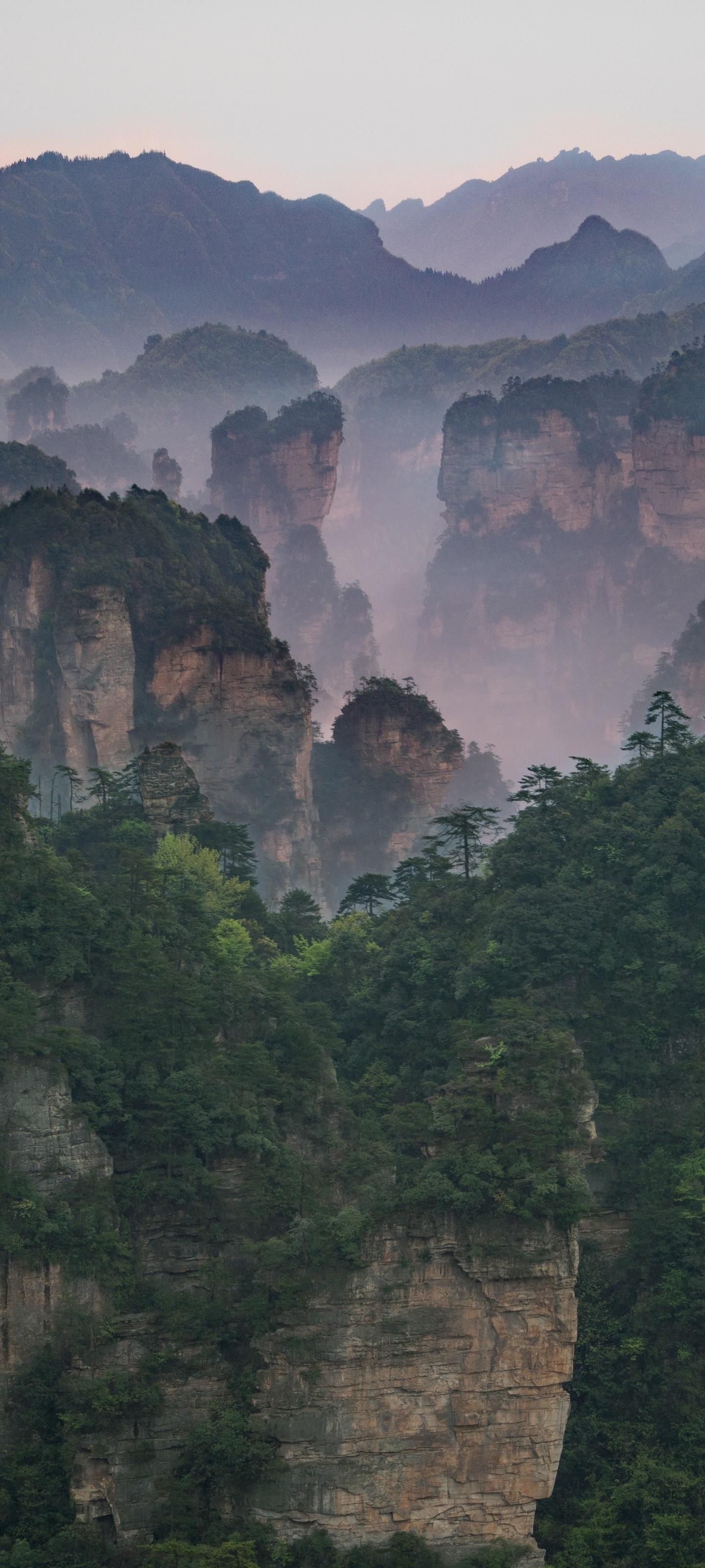 1440x3200 Zhangjiajie National Forest Park phone wallpaper 1080P, 2k, 4k Full HD Wallpaper, Background Free Download
