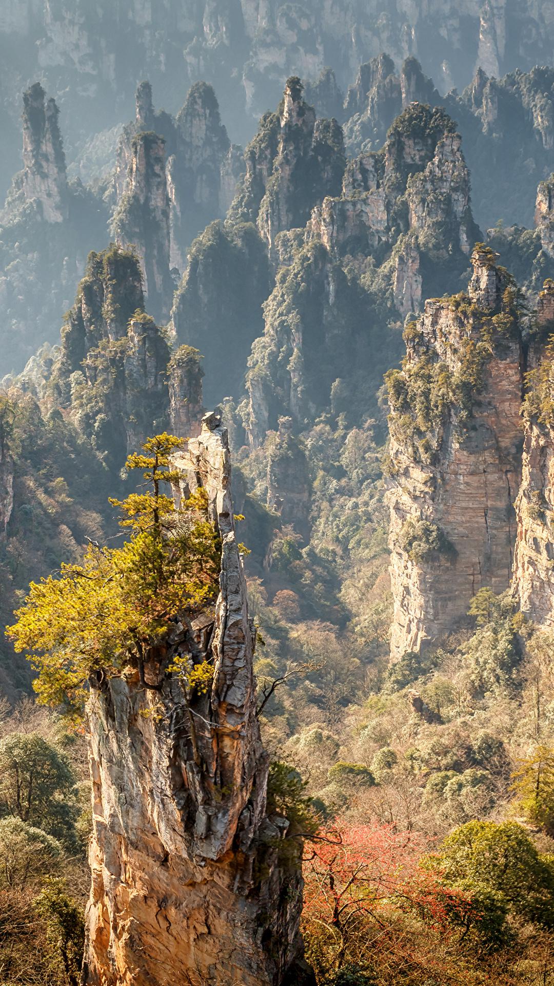 1080x1920 Photo China Zhangjiajie National Forest Park Crag Autumn 1080x1920