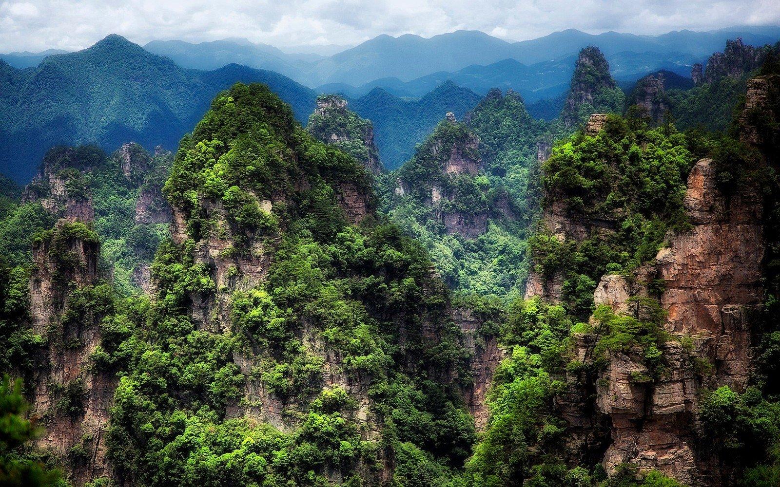 1600x1000 Free download Zhangjiajie National Forest Park China Wallpaper and Background [1600x1000] for your Desktop, Mobile & Tablet. Explore Forest Park Wallpaper. Black Forest Wallpaper, Forest Wallpaper, Forest Background
