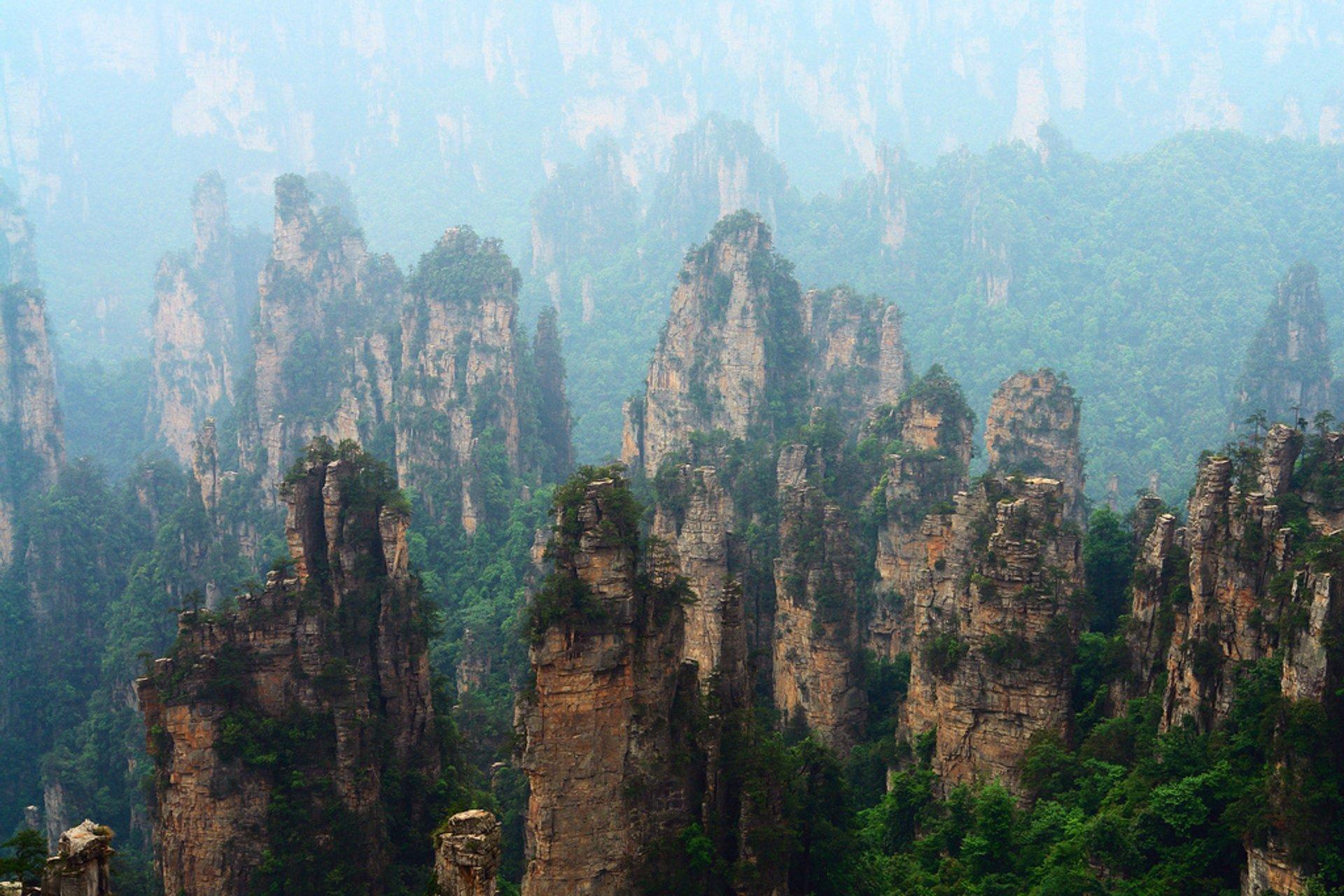 1920x1281 Best Time to See Zhangjiajie National Forest Park in China 2023 