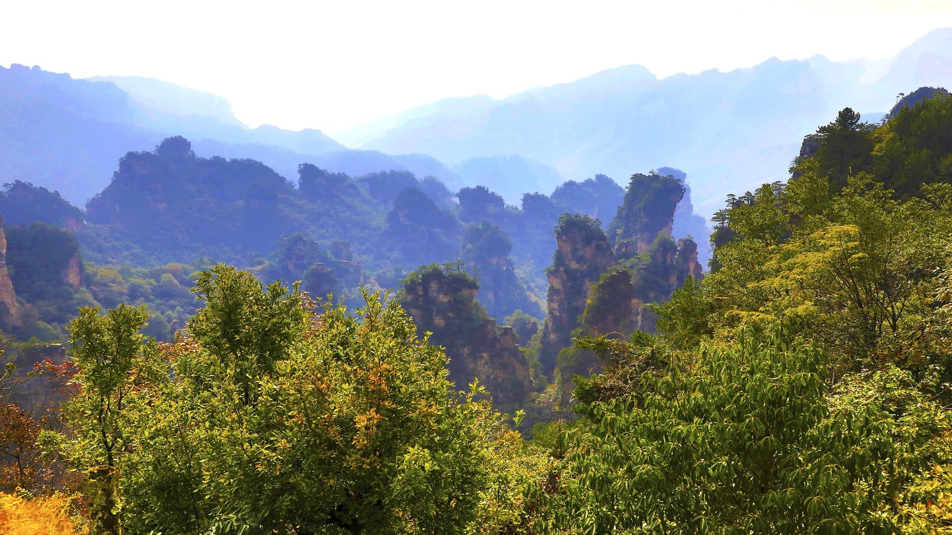 1920x1080 nature, Zhangjiajie National Park, sky, landscape, sunlight, park, China, trees, mountains, forest Gallery HD Wallpaper