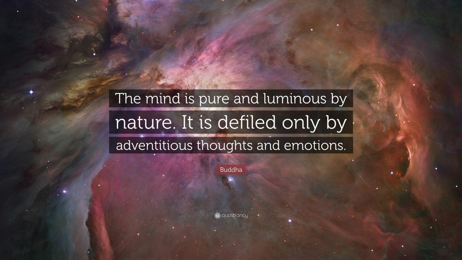 1600x900 Buddha Quotes (100 wallpaper)