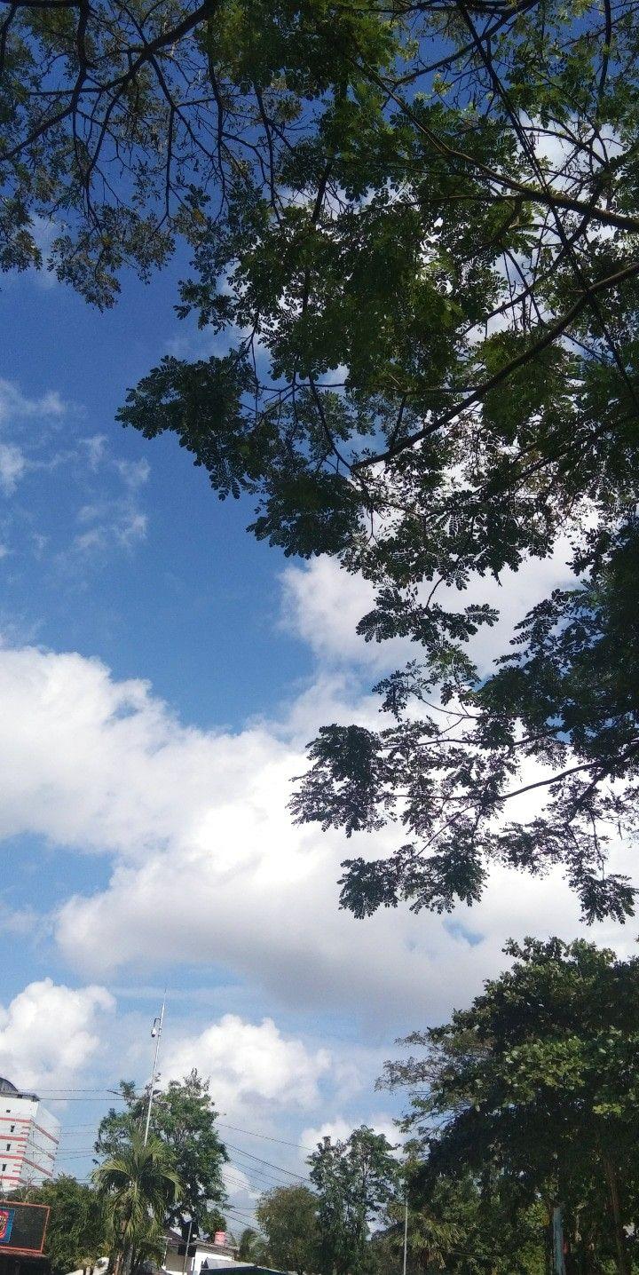 720x1436 Halumu. Kalimantan, Fotografi teman, Fotografi