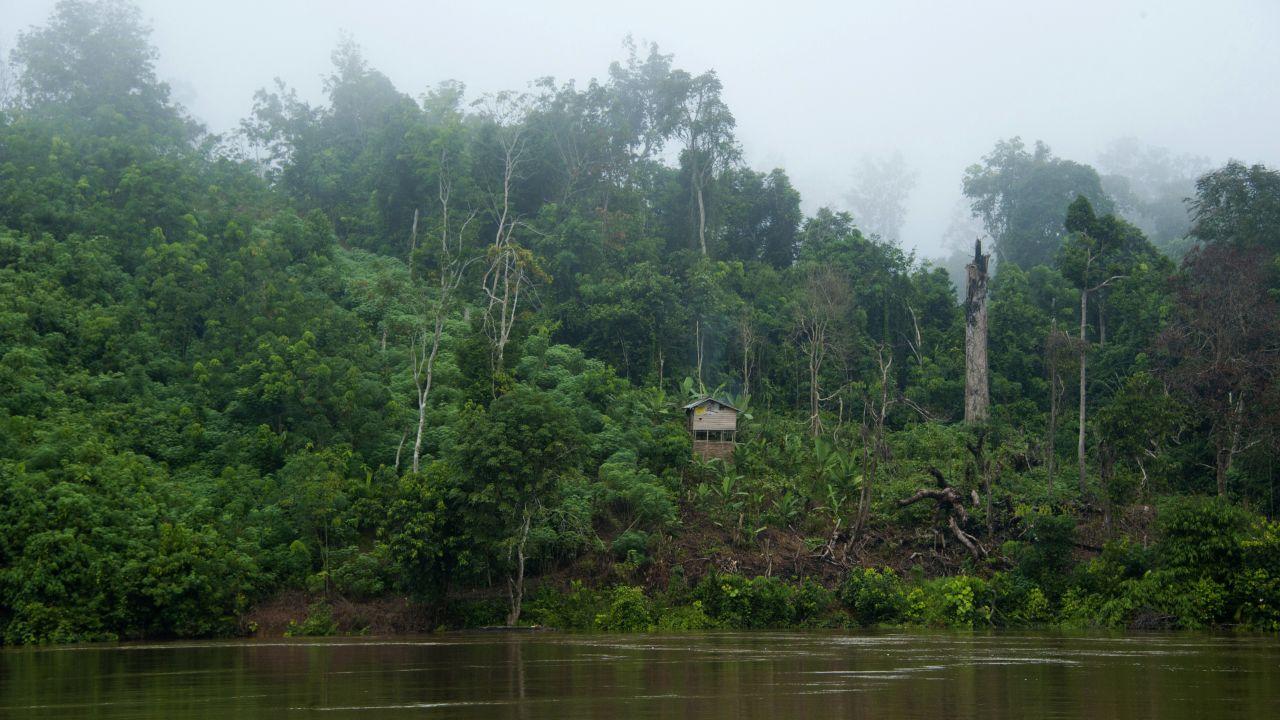 1280x720 Malaysian Borneo adventure: What to do and see