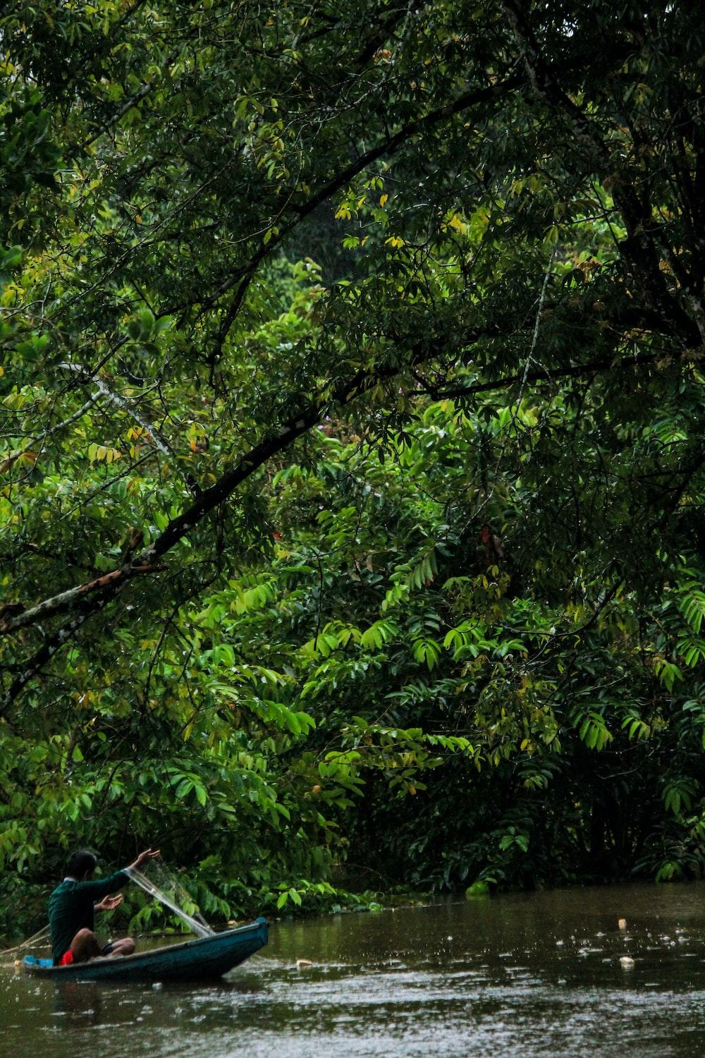 1000x1500 Kalimantan Picture. Download Free Image