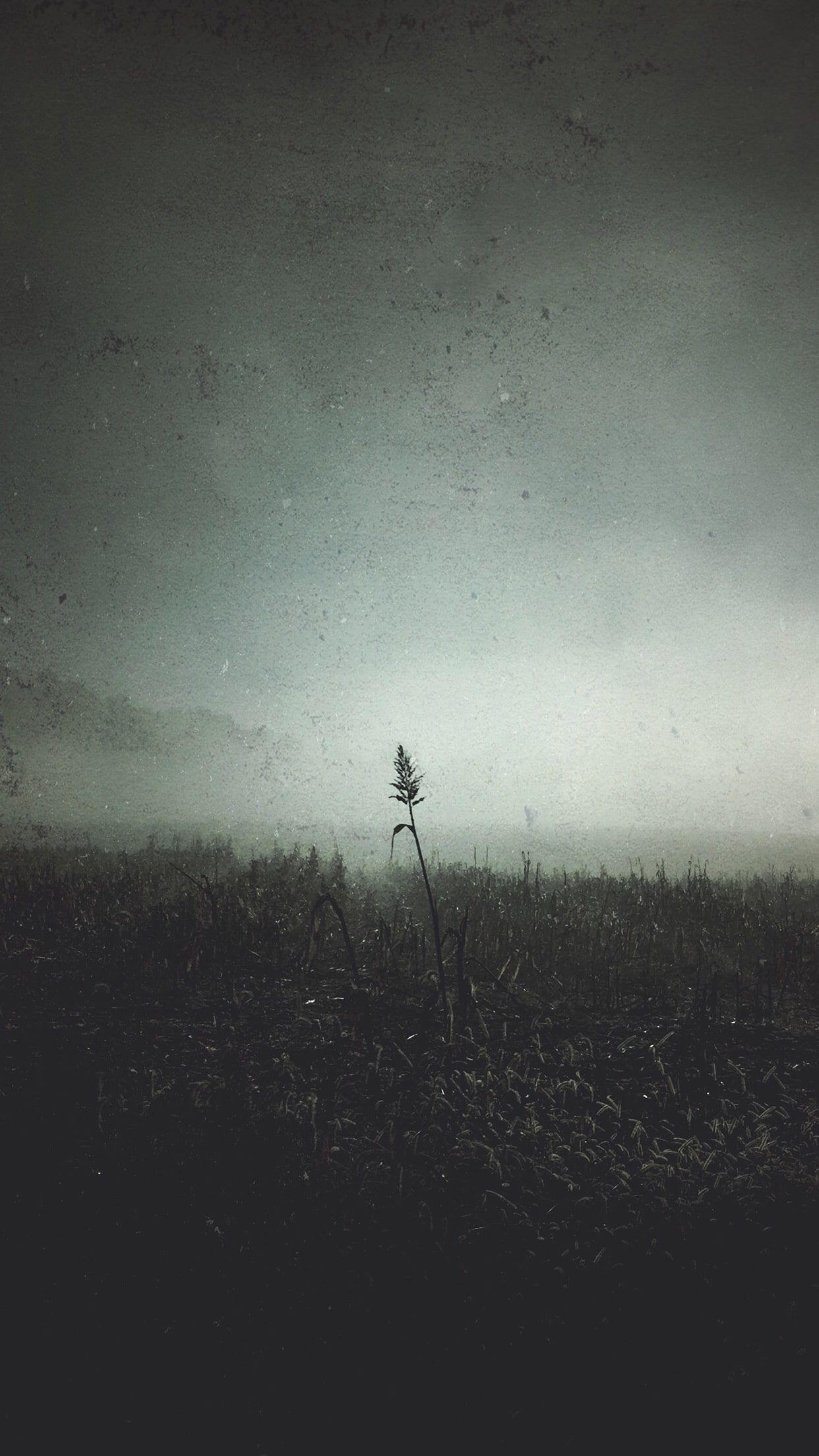 1242x2208 portrait display #vertical #landscape P #wallpaper #hdwallpaper #desktop. Landscape wallpaper, Dark wallpaper iphone, Vertical landscape