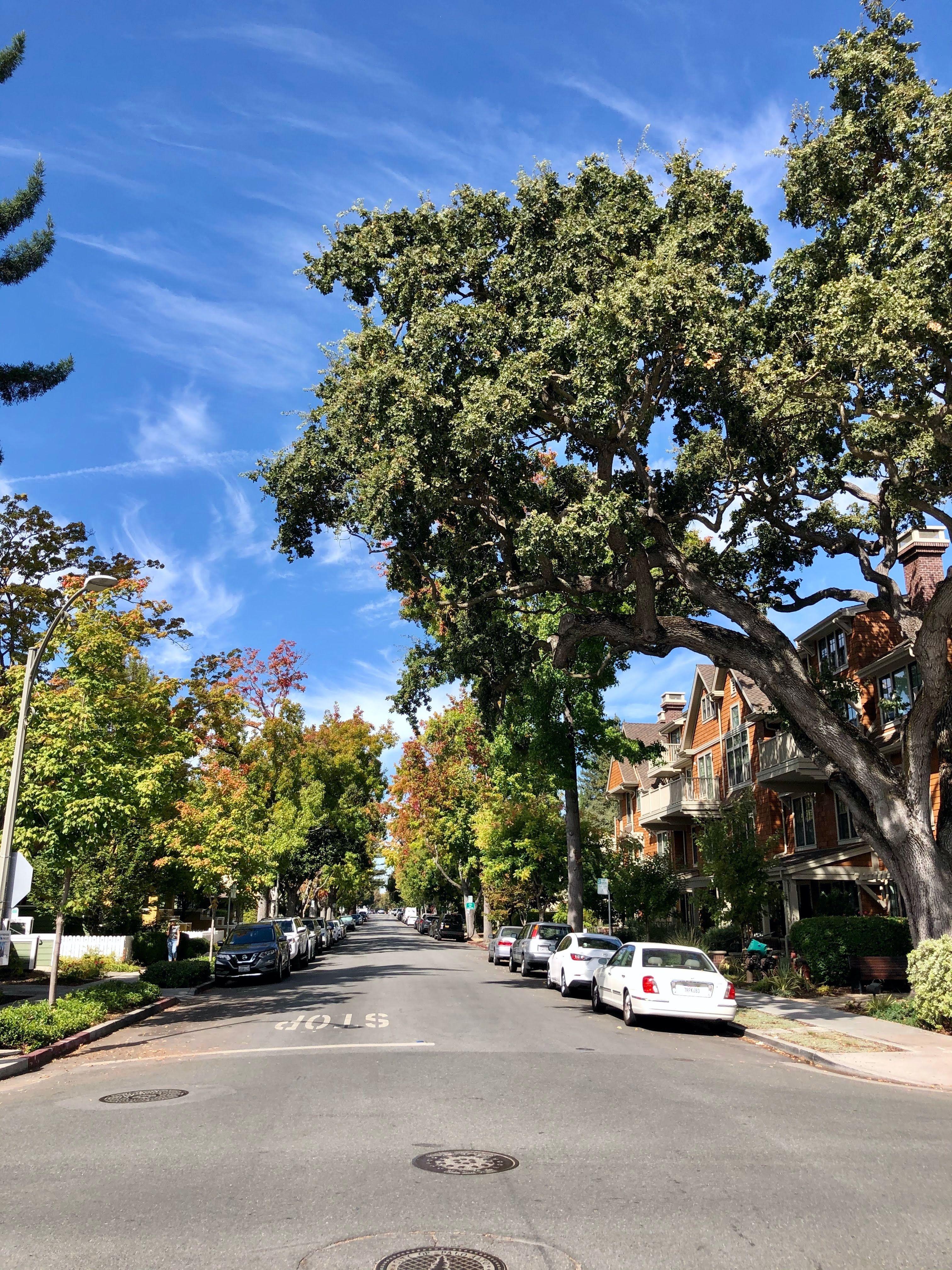 3024x4032 Palo Alto Wallpaper
