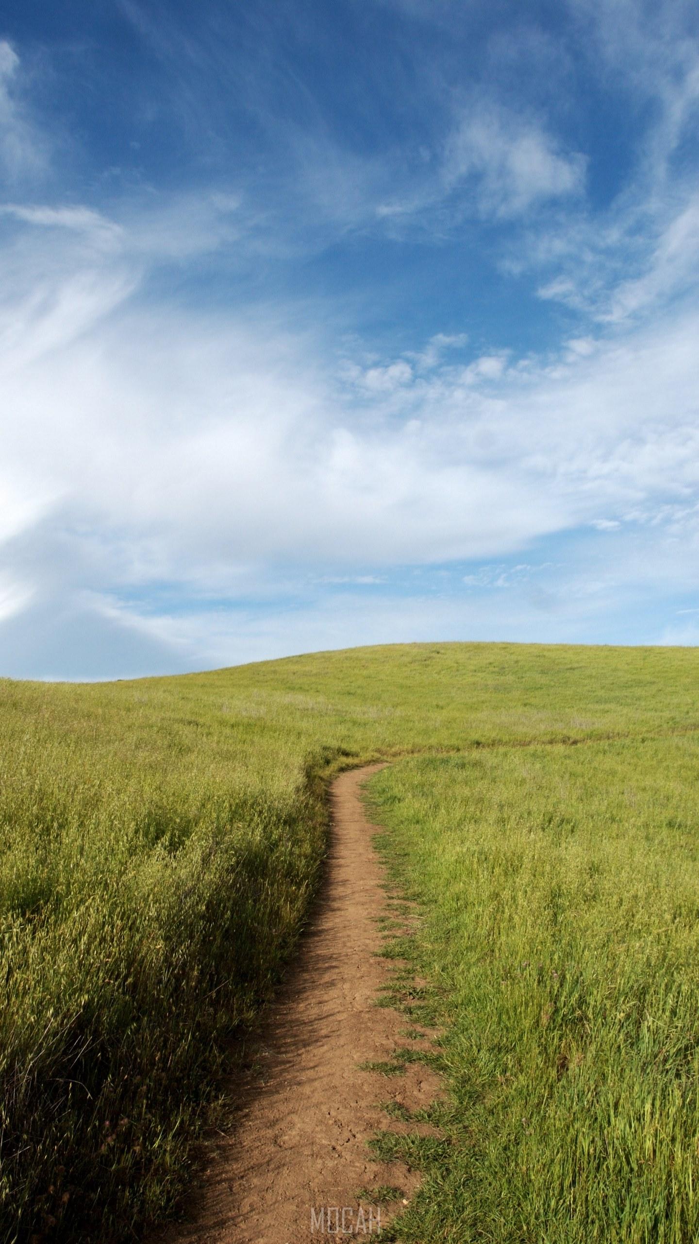 1440x2560 silicon valley californium palo alto and sky hd, LG V10 wallpaper hd, 1440x2560 Gallery HD Wallpaper