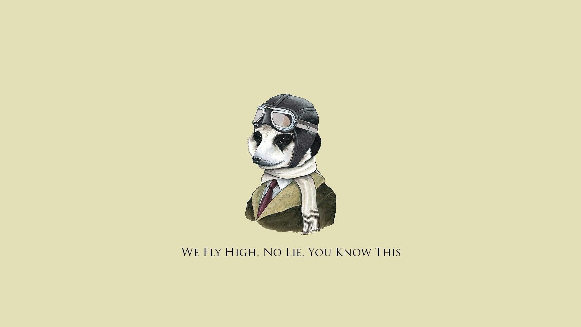 1920x1080 Animals funny quotes wallpaper